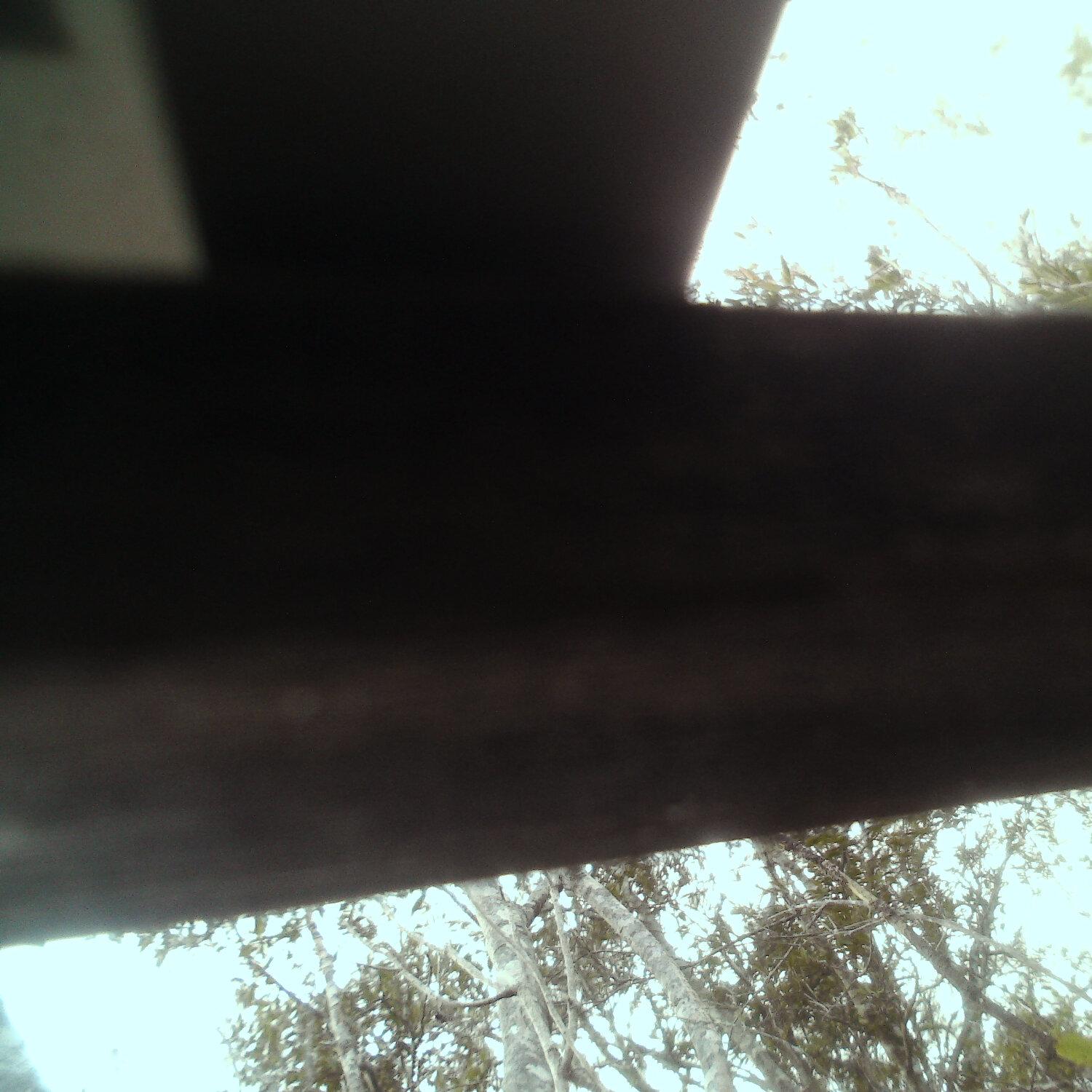 A photo captured from the webcam at the time the audio was recorded