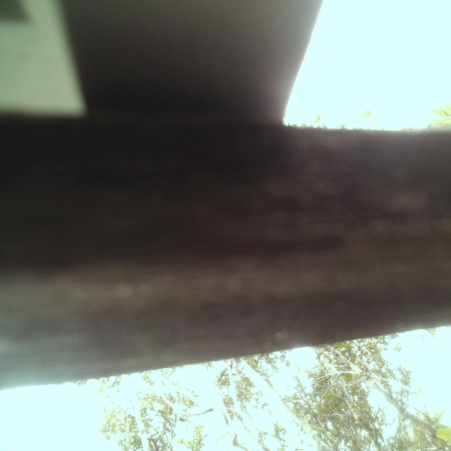 A photo captured from the webcam at the time the audio was recorded
