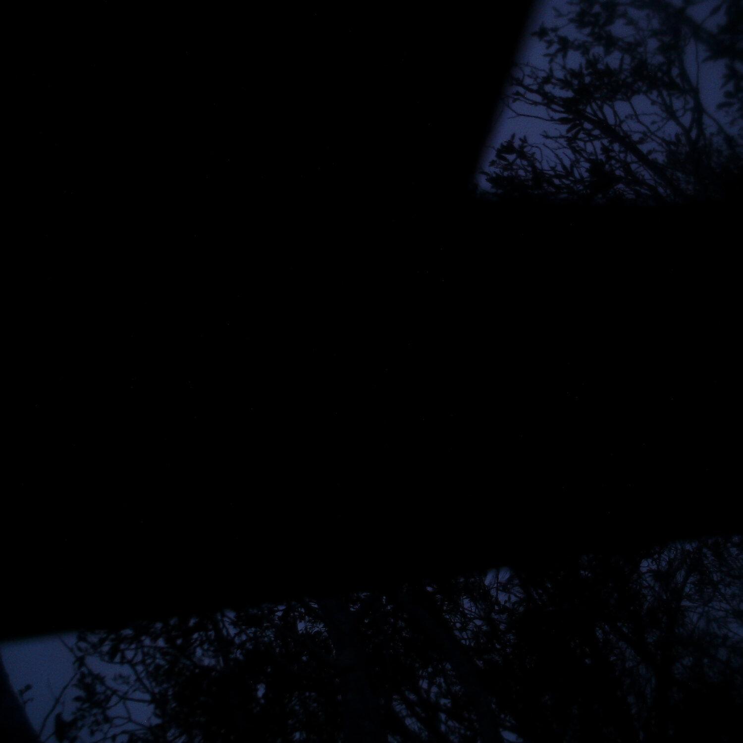 A photo captured from the webcam at the time the audio was recorded