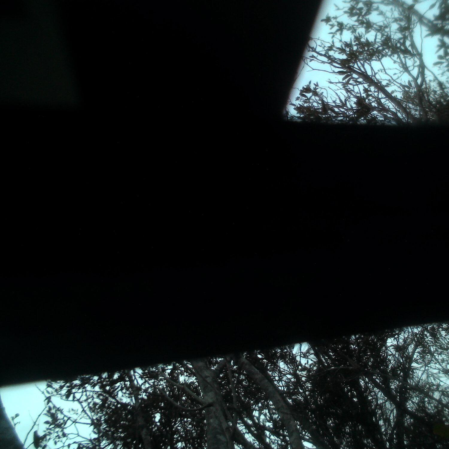 A photo captured from the webcam at the time the audio was recorded