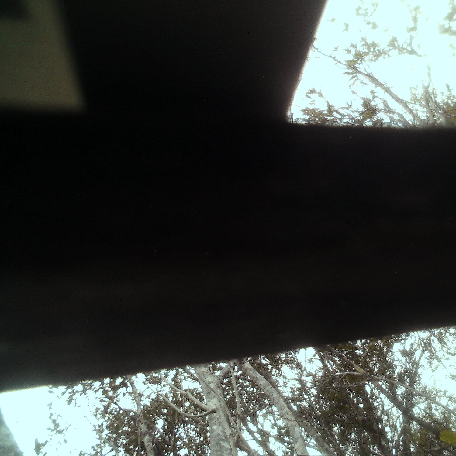 A photo captured from the webcam at the time the audio was recorded