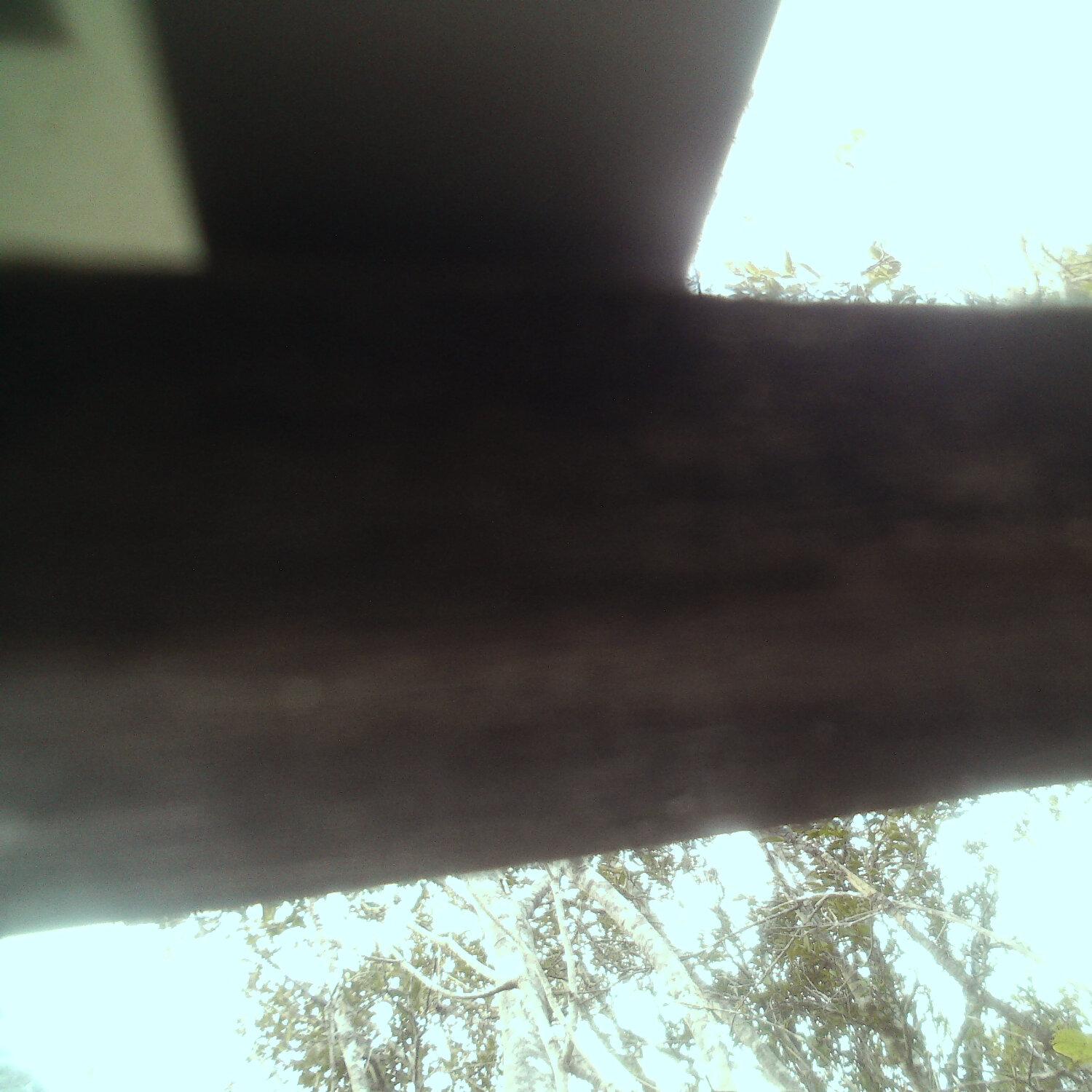 A photo captured from the webcam at the time the audio was recorded