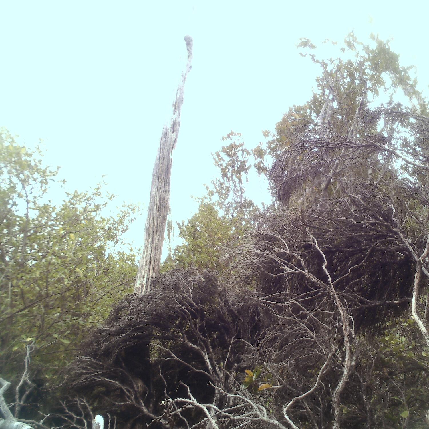 A photo captured from the webcam at the time the audio was recorded