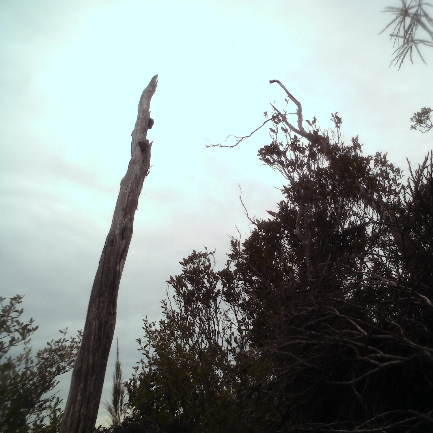 A photo captured from the webcam at the time the audio was recorded