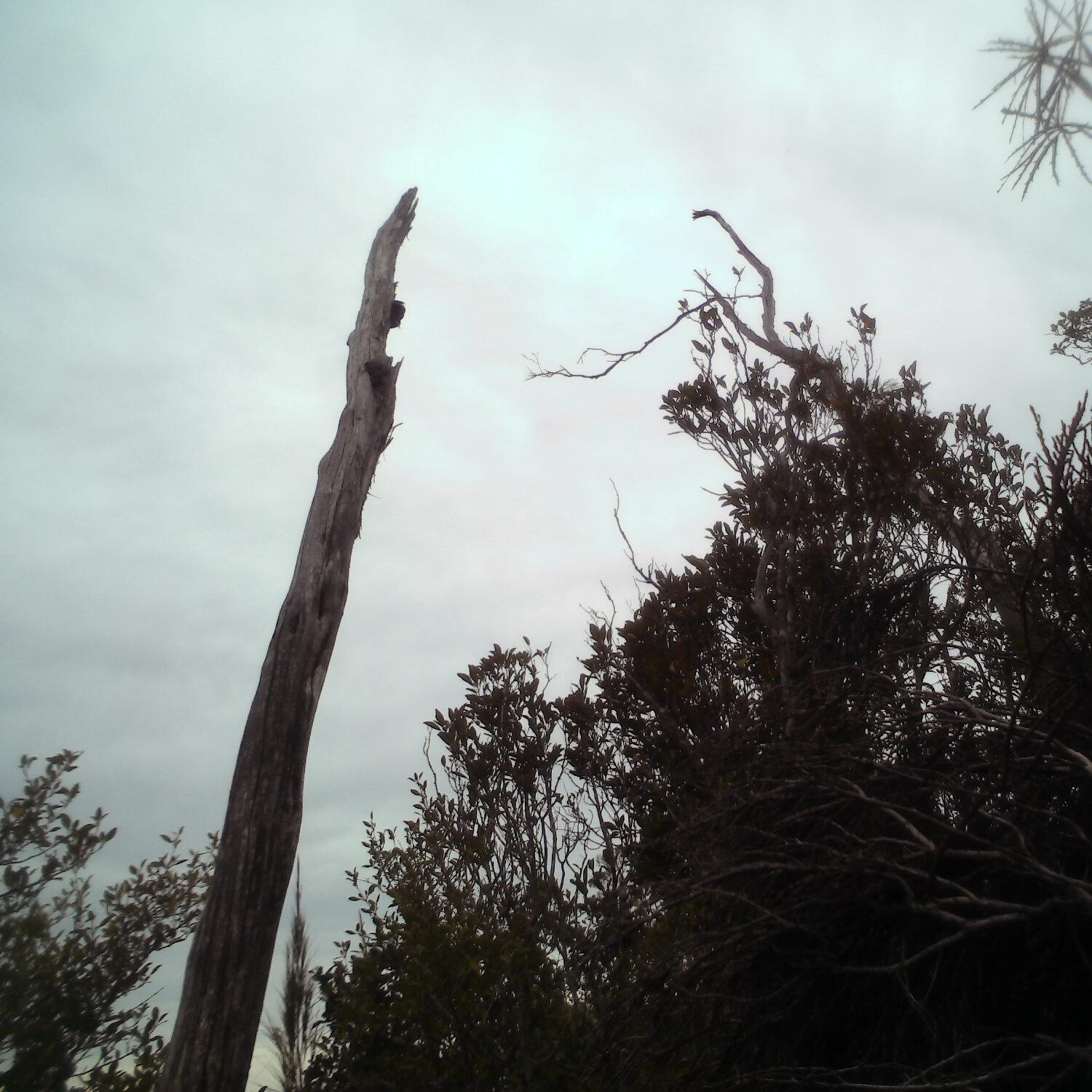 A photo captured from the webcam at the time the audio was recorded