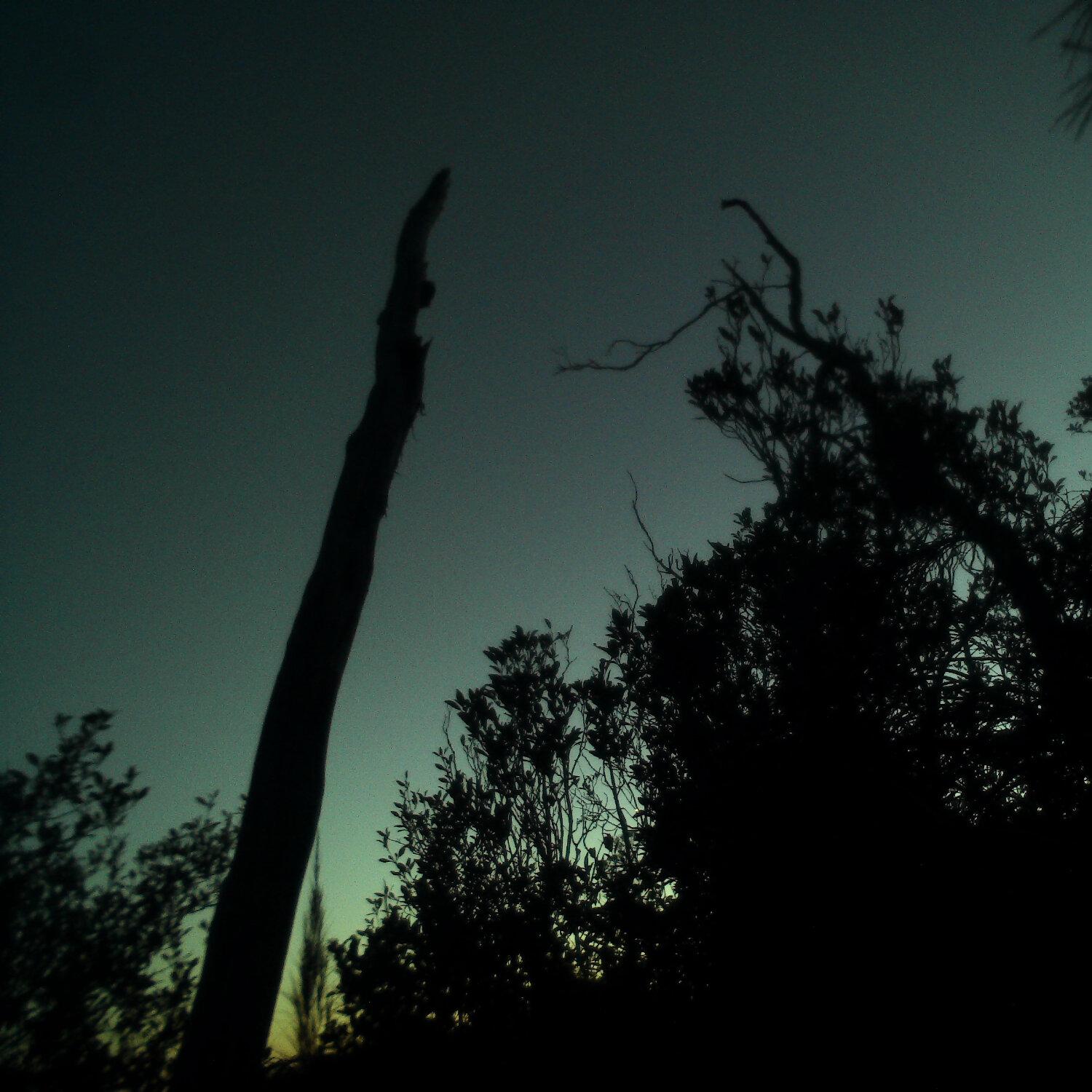 A photo captured from the webcam at the time the audio was recorded