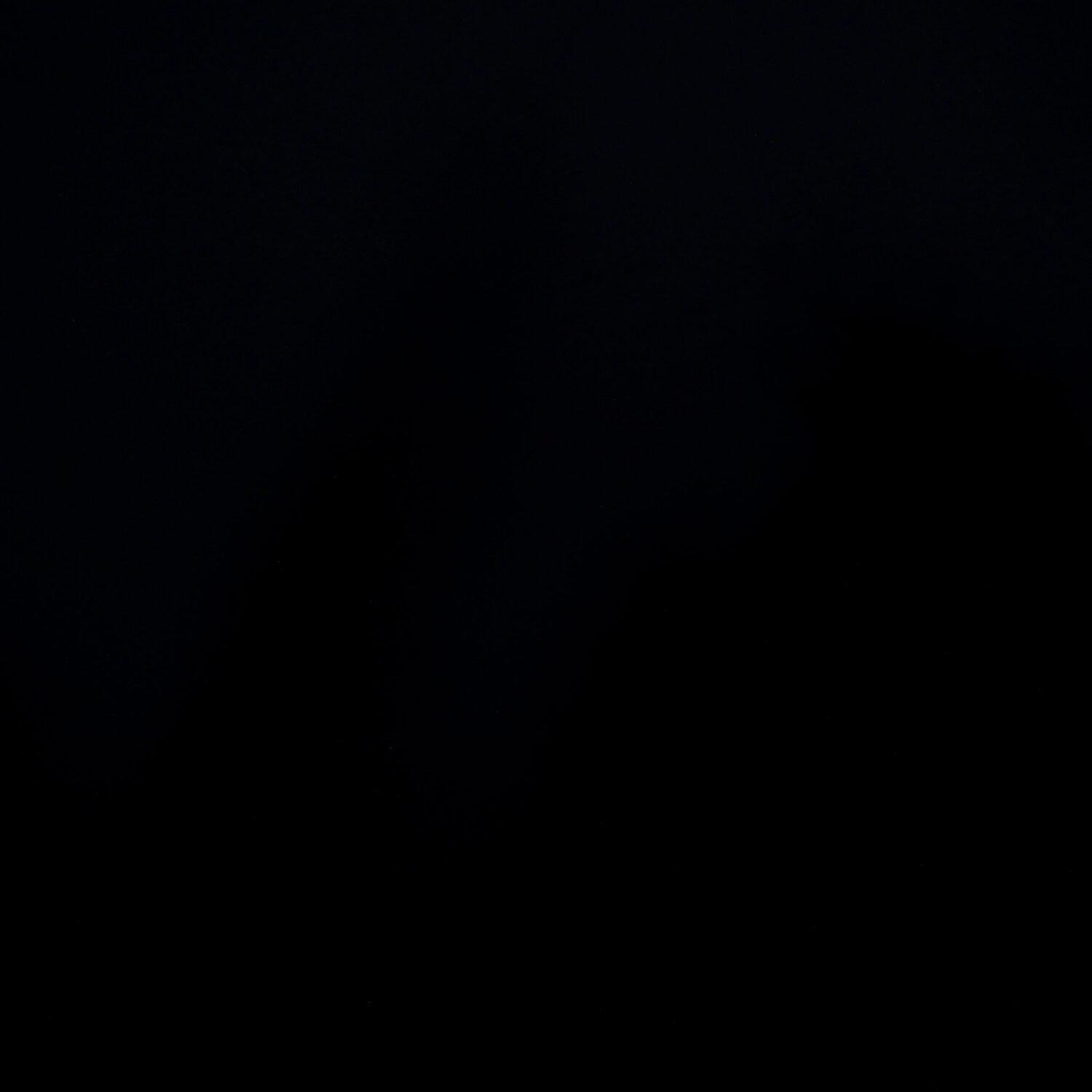 A photo captured from the webcam at the time the audio was recorded