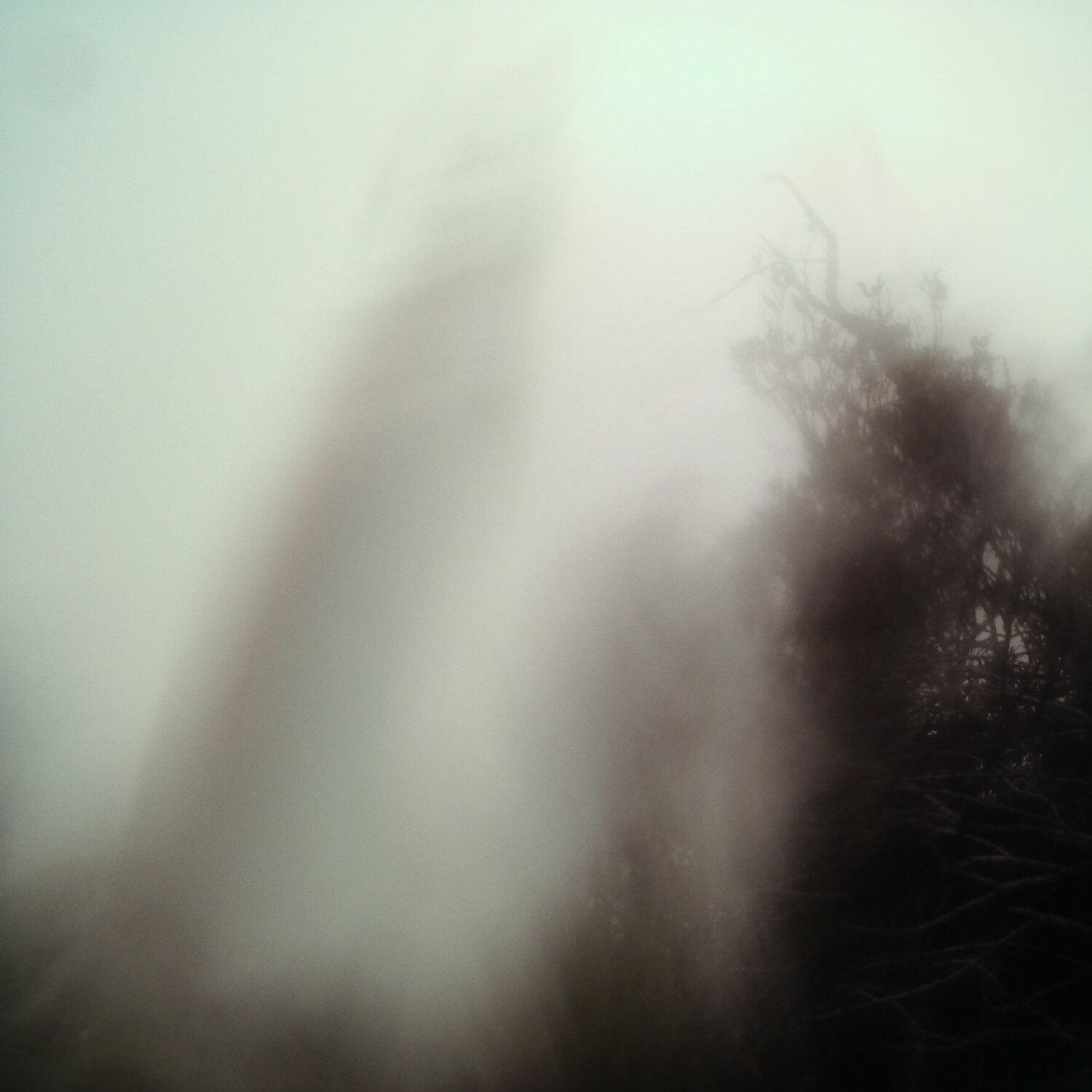 A photo captured from the webcam at the time the audio was recorded