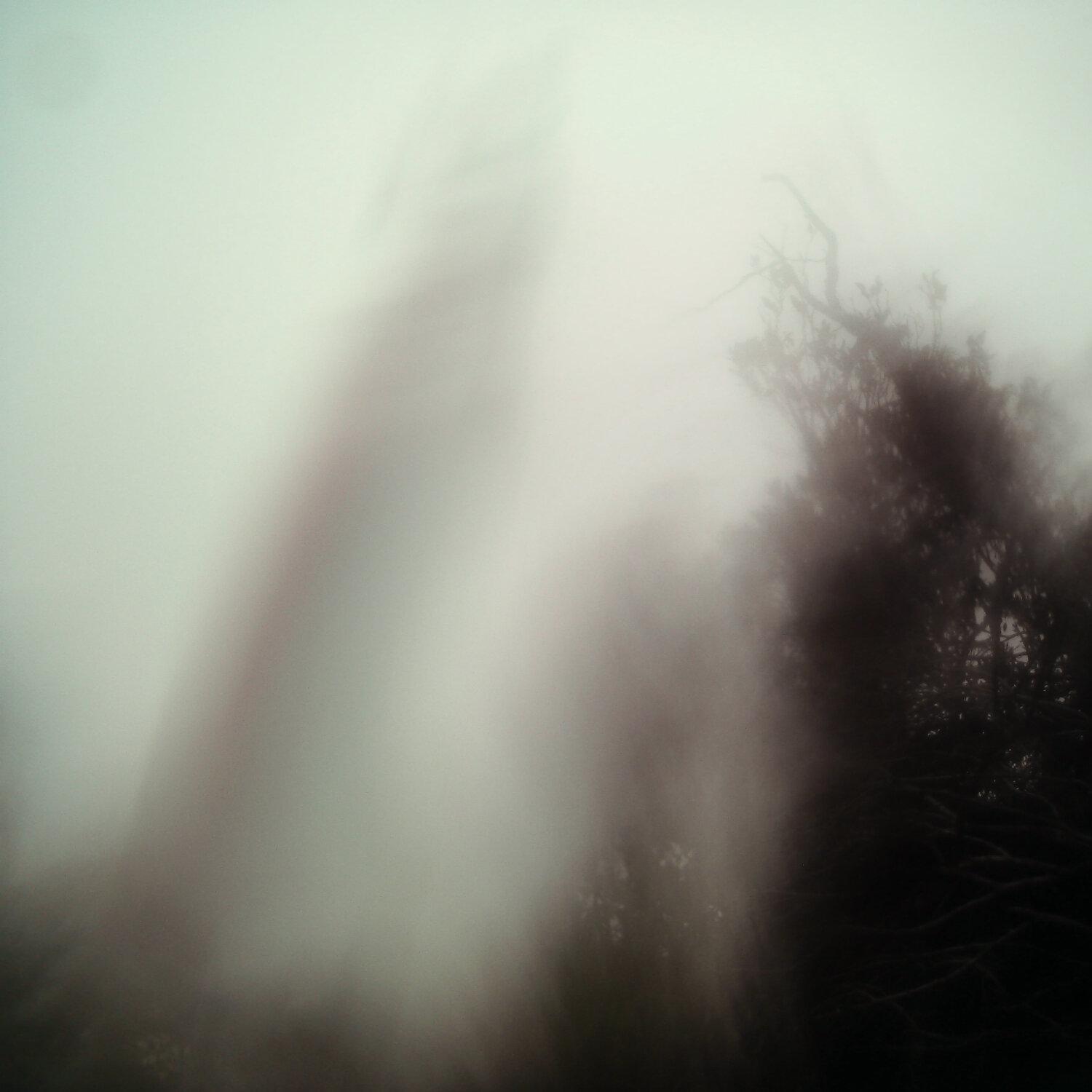 A photo captured from the webcam at the time the audio was recorded