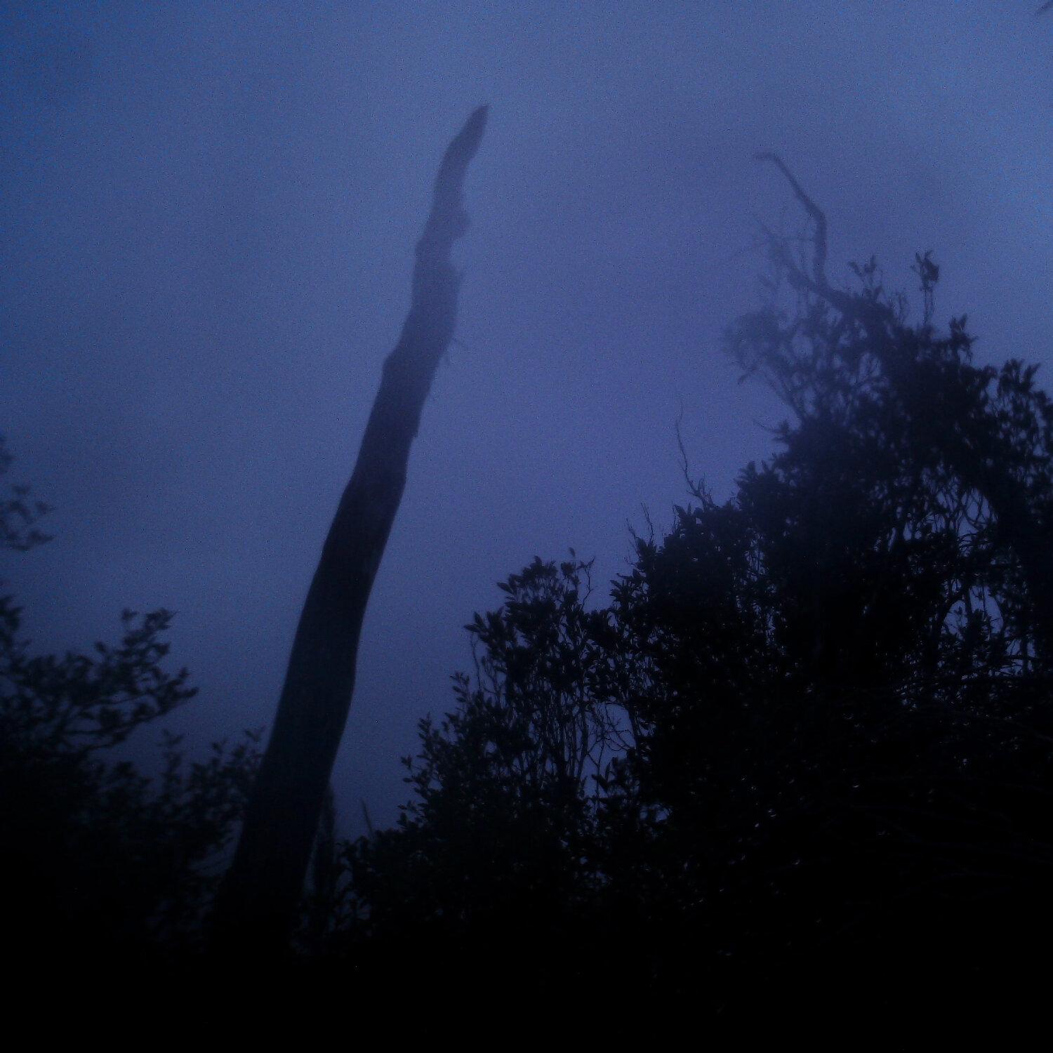 A photo captured from the webcam at the time the audio was recorded