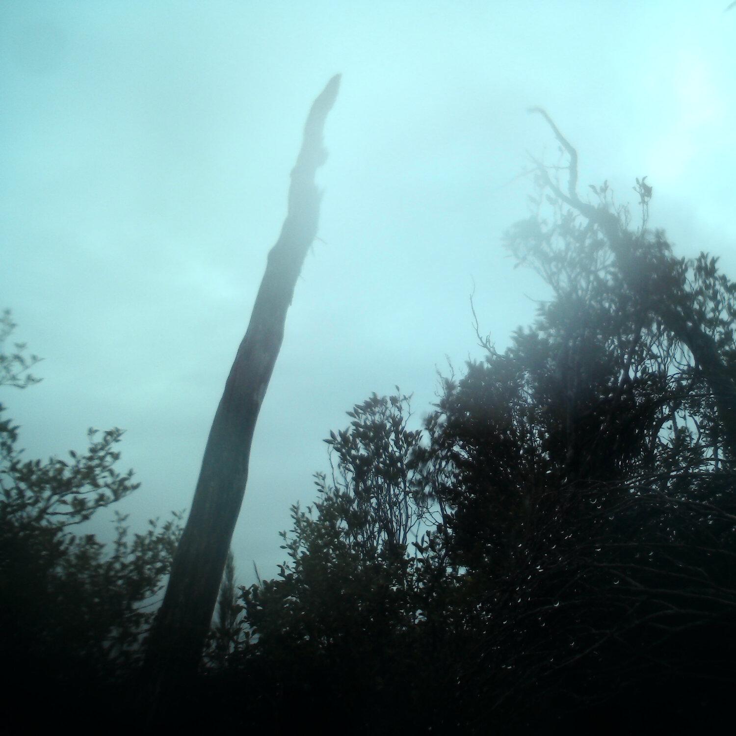 A photo captured from the webcam at the time the audio was recorded