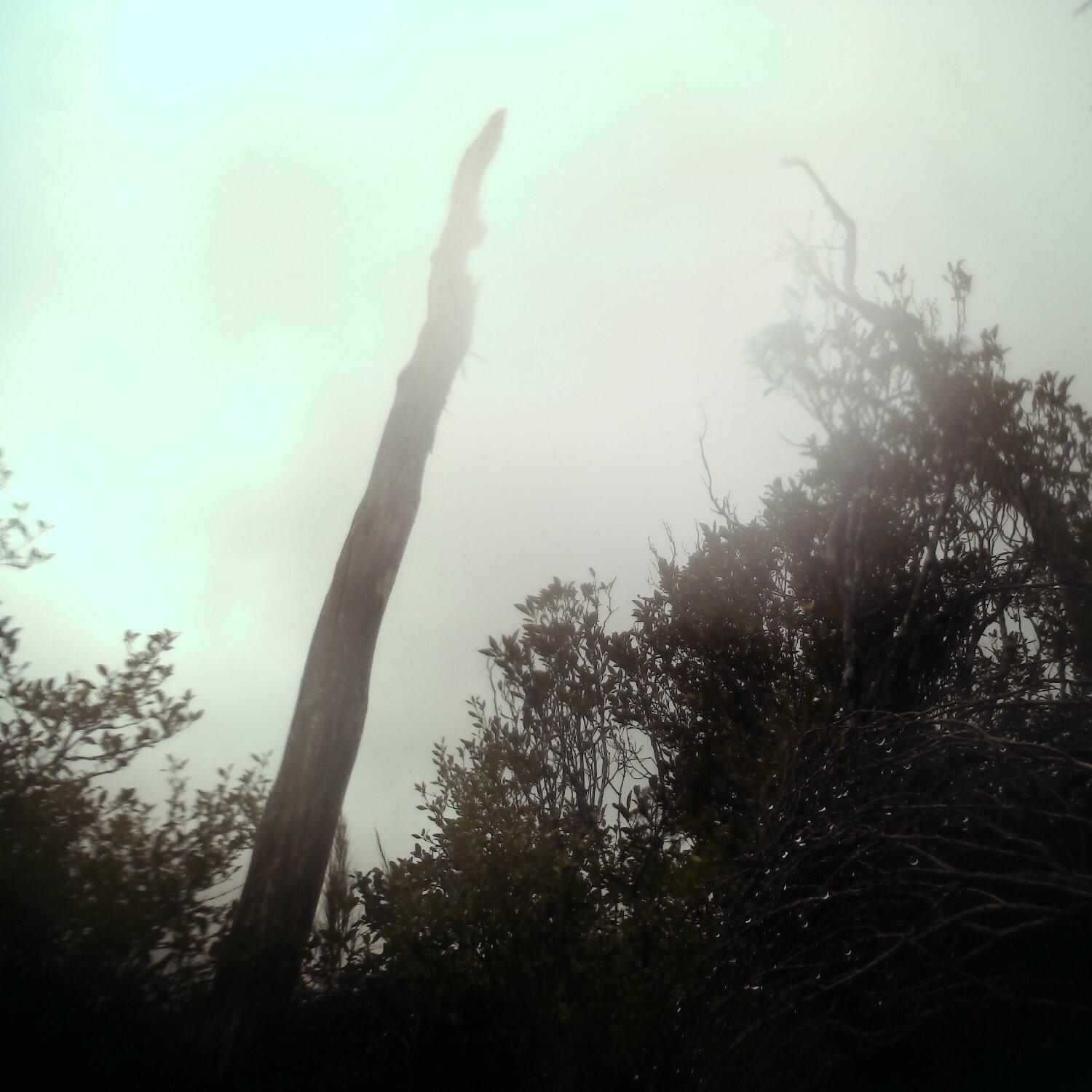 A photo captured from the webcam at the time the audio was recorded