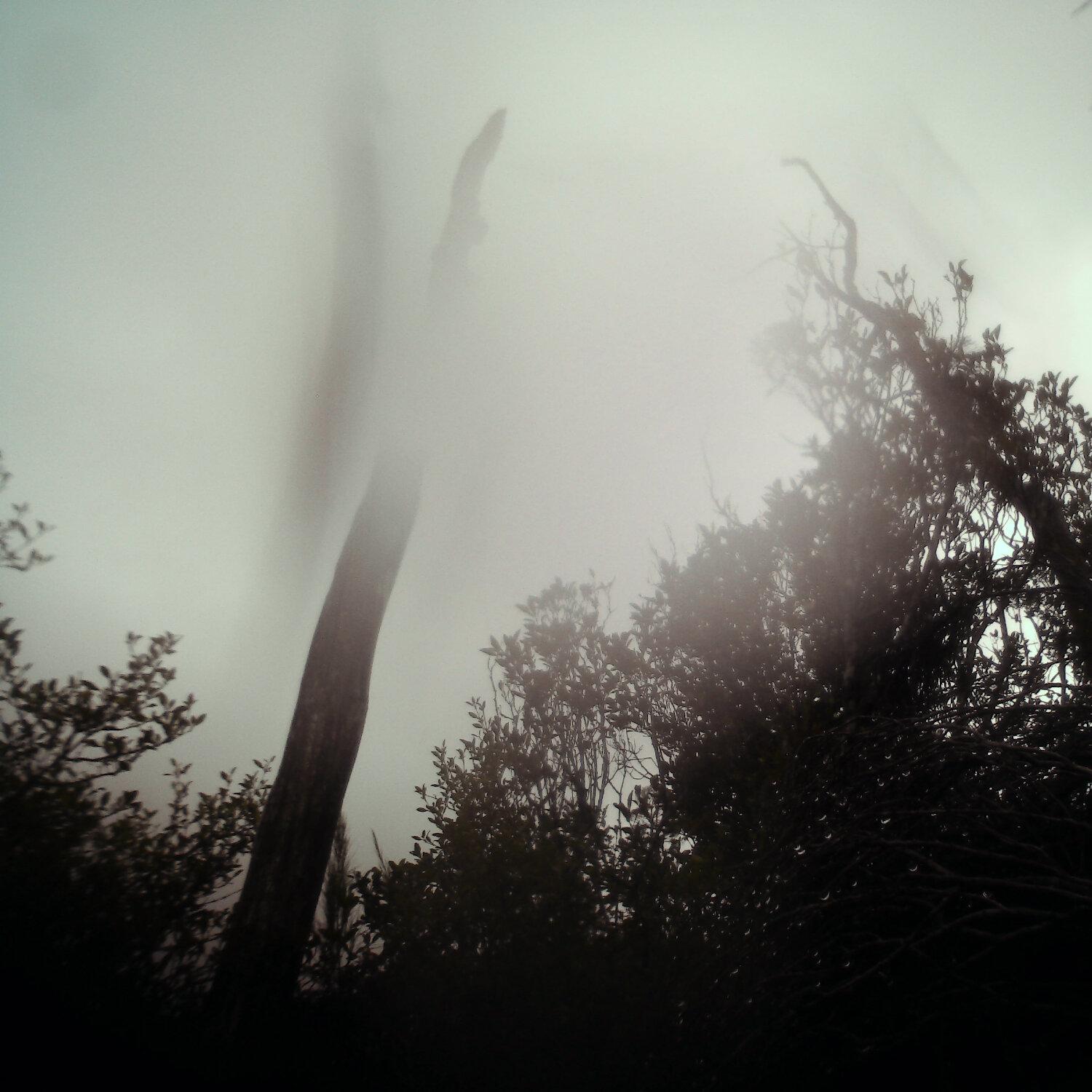 A photo captured from the webcam at the time the audio was recorded