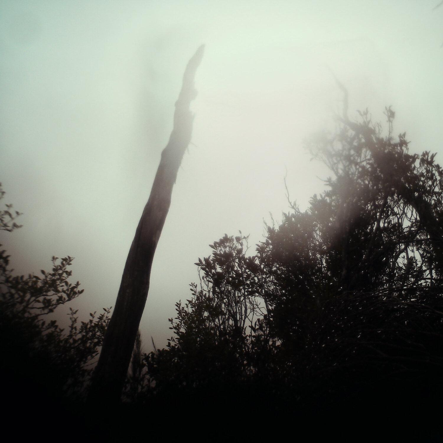 A photo captured from the webcam at the time the audio was recorded