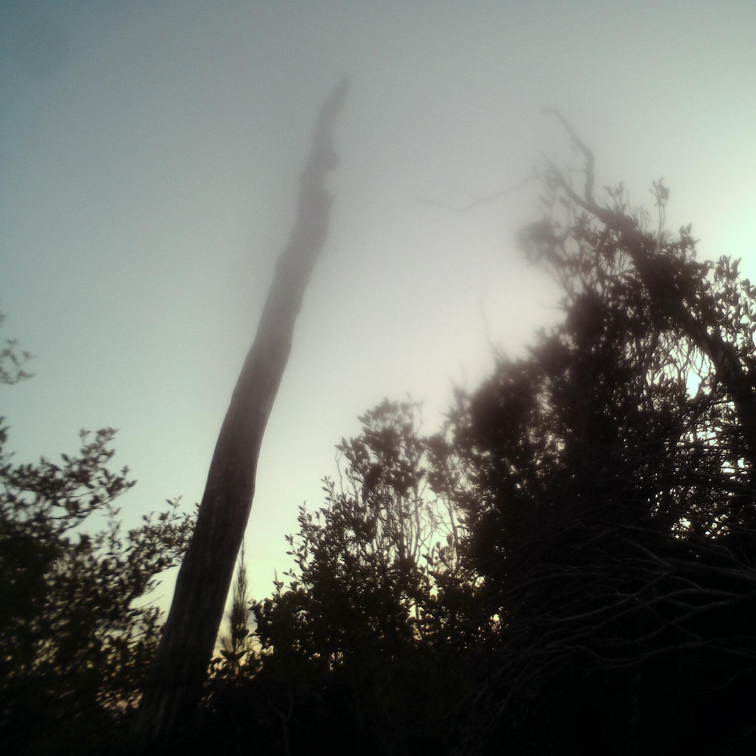 A photo captured from the webcam at the time the audio was recorded