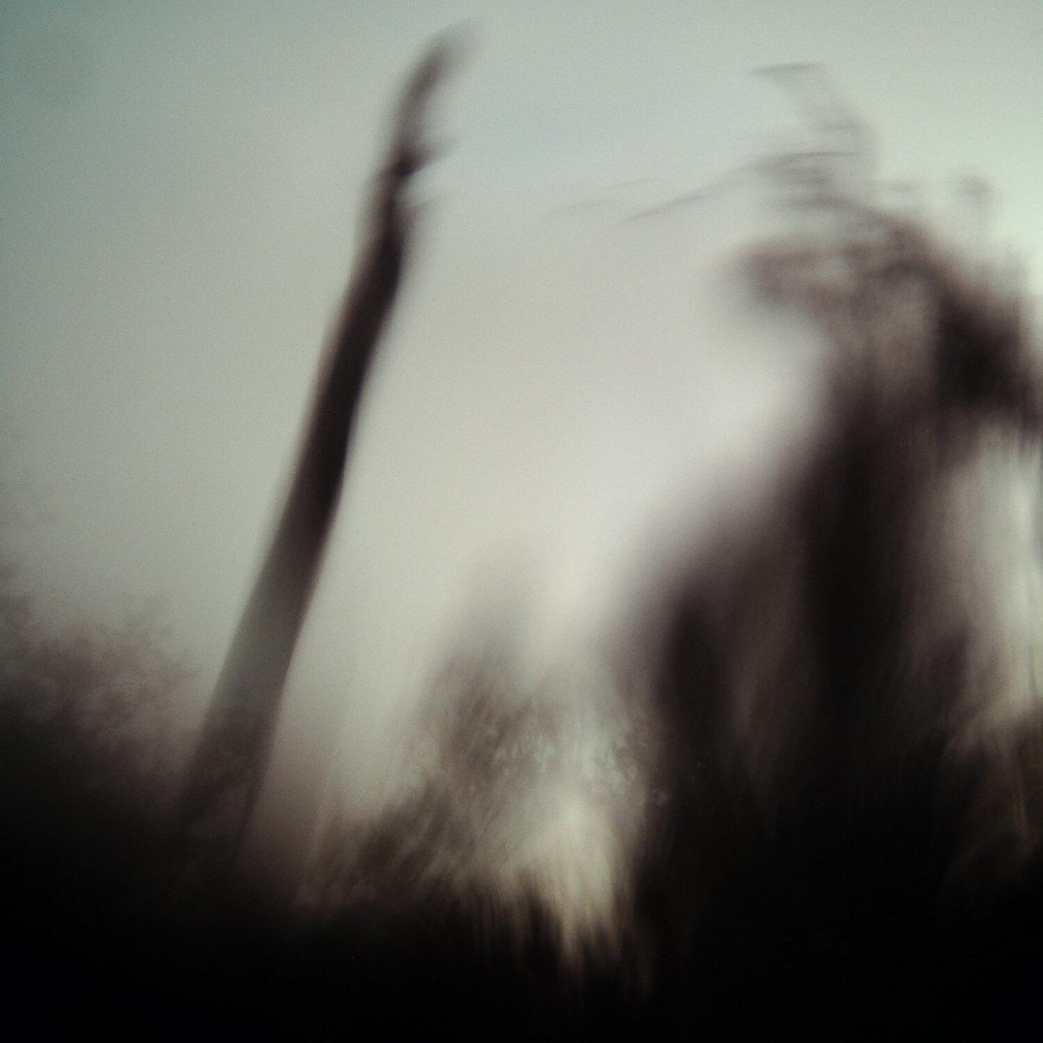 A photo captured from the webcam at the time the audio was recorded