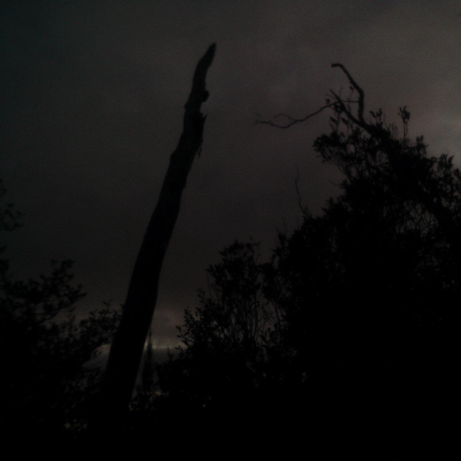 A photo captured from the webcam at the time the audio was recorded