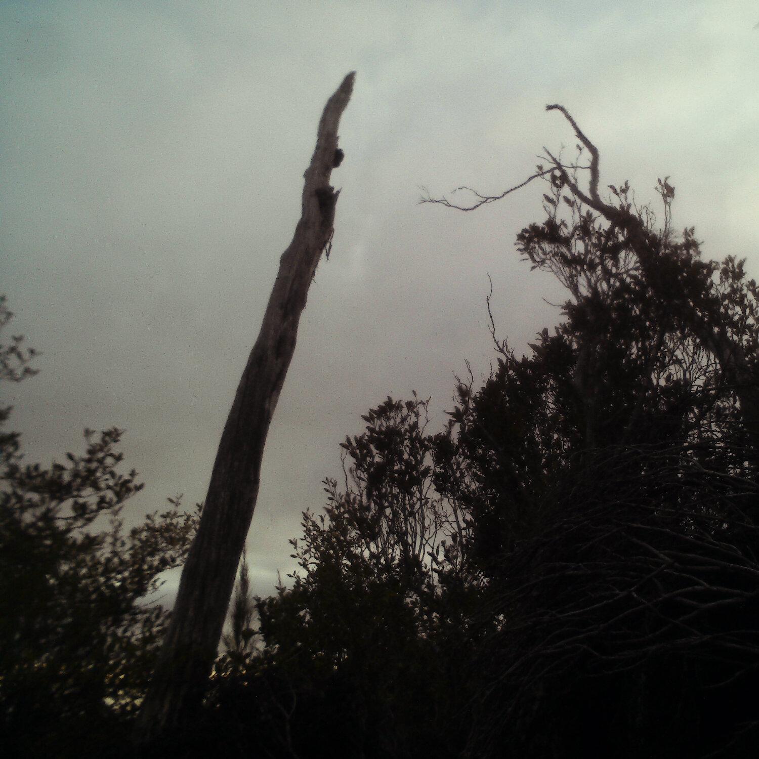 A photo captured from the webcam at the time the audio was recorded