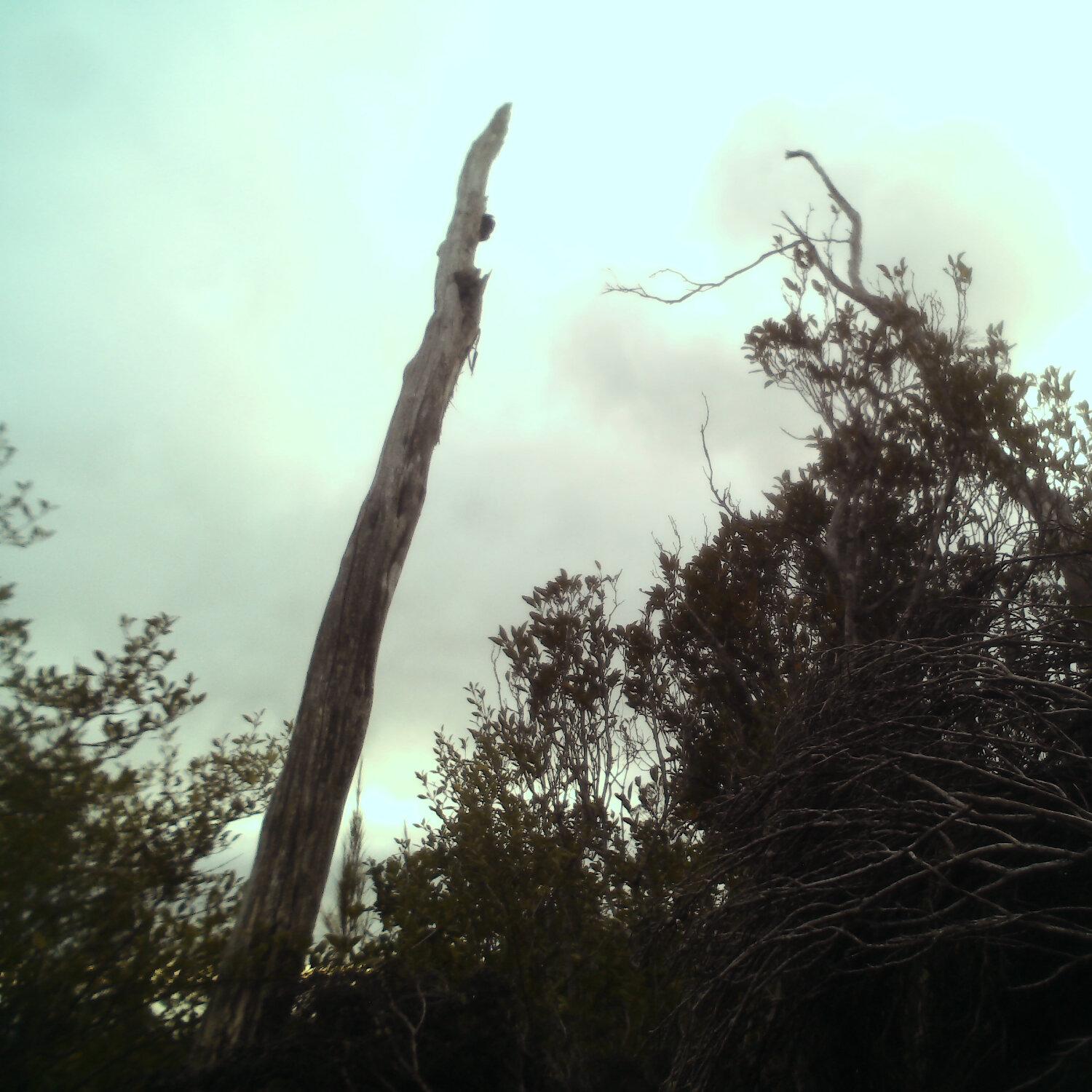 A photo captured from the webcam at the time the audio was recorded