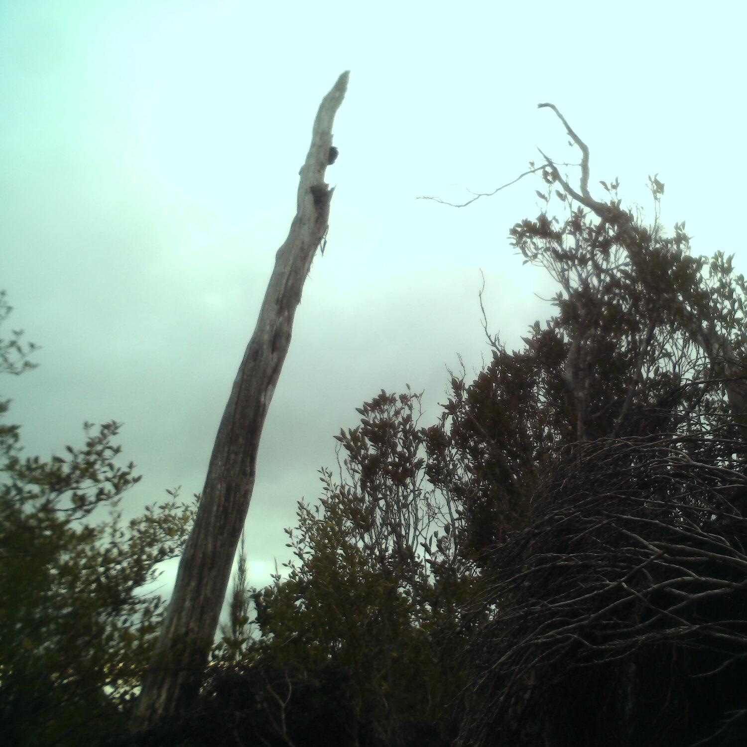A photo captured from the webcam at the time the audio was recorded
