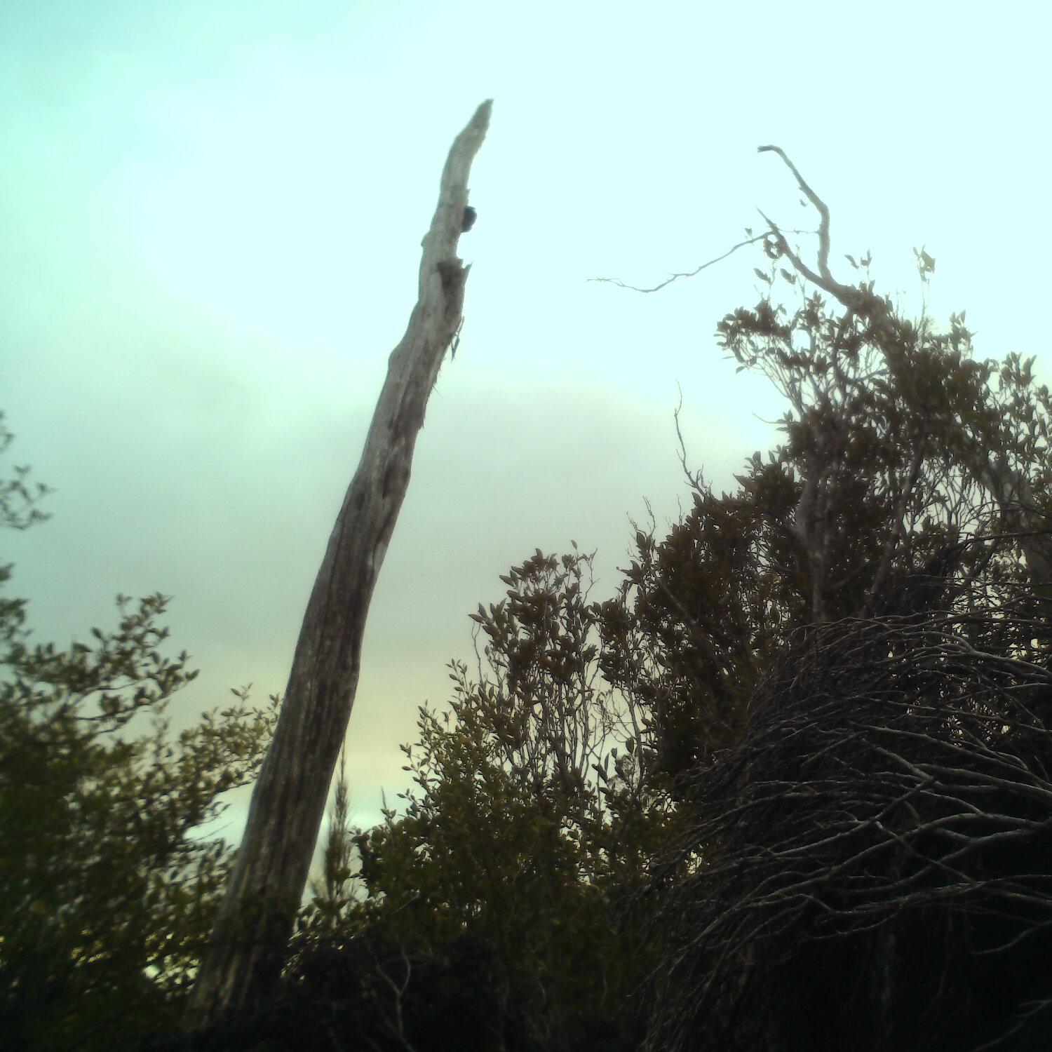 A photo captured from the webcam at the time the audio was recorded