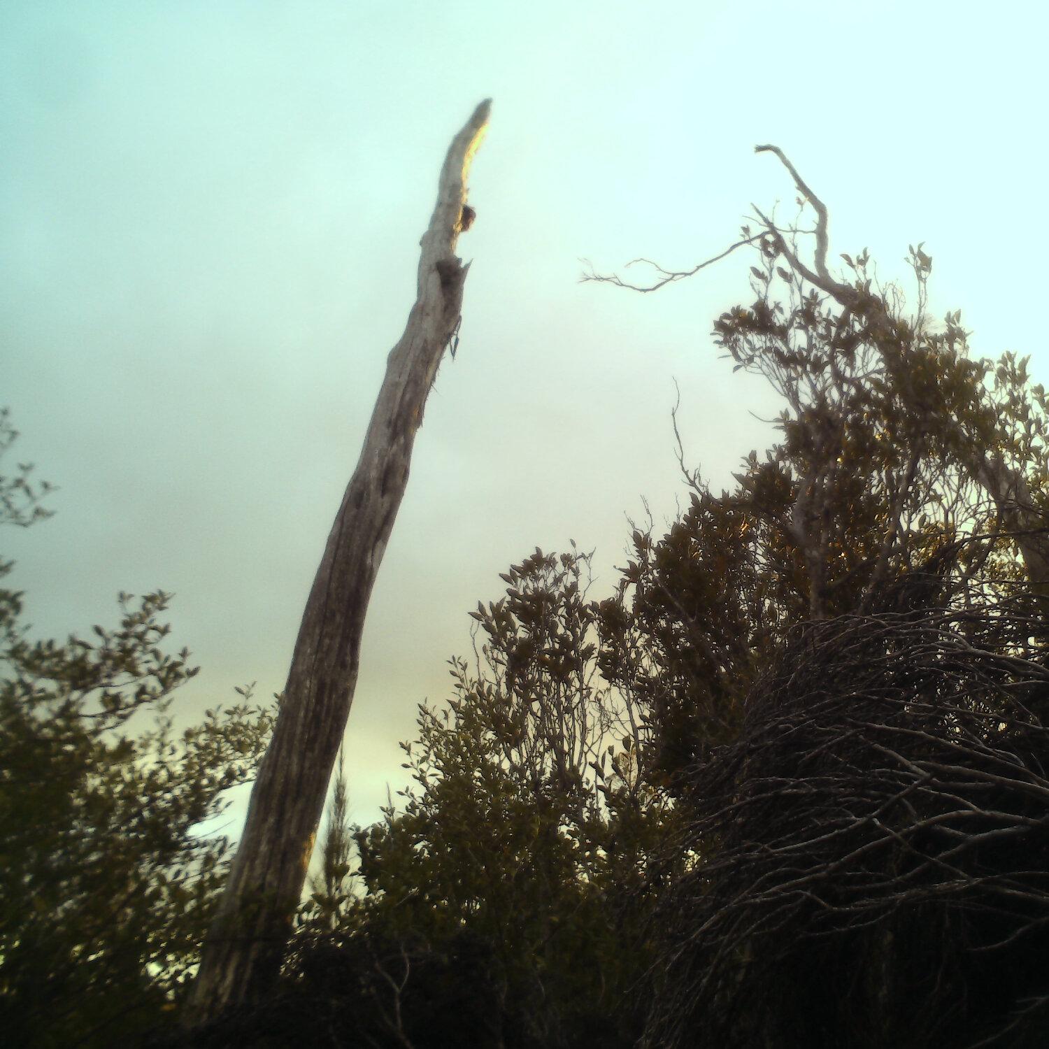 A photo captured from the webcam at the time the audio was recorded
