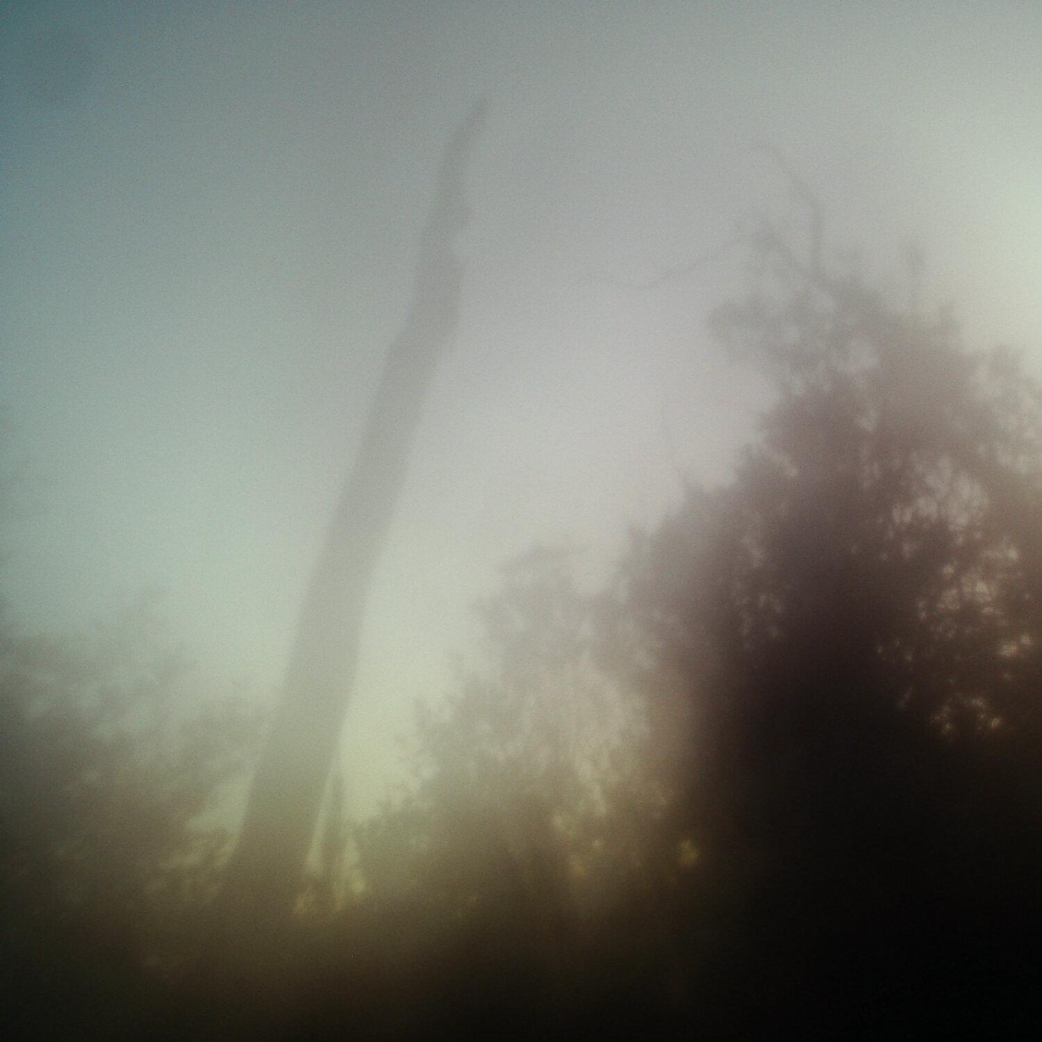 A photo captured from the webcam at the time the audio was recorded