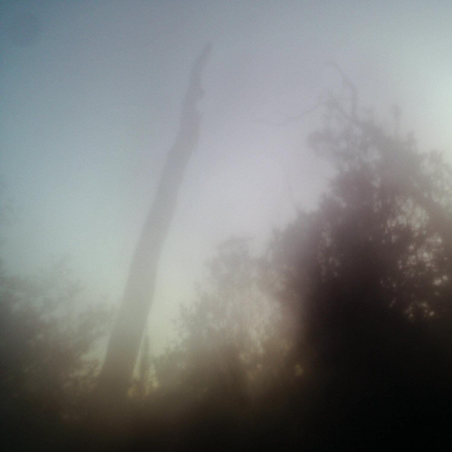 A photo captured from the webcam at the time the audio was recorded