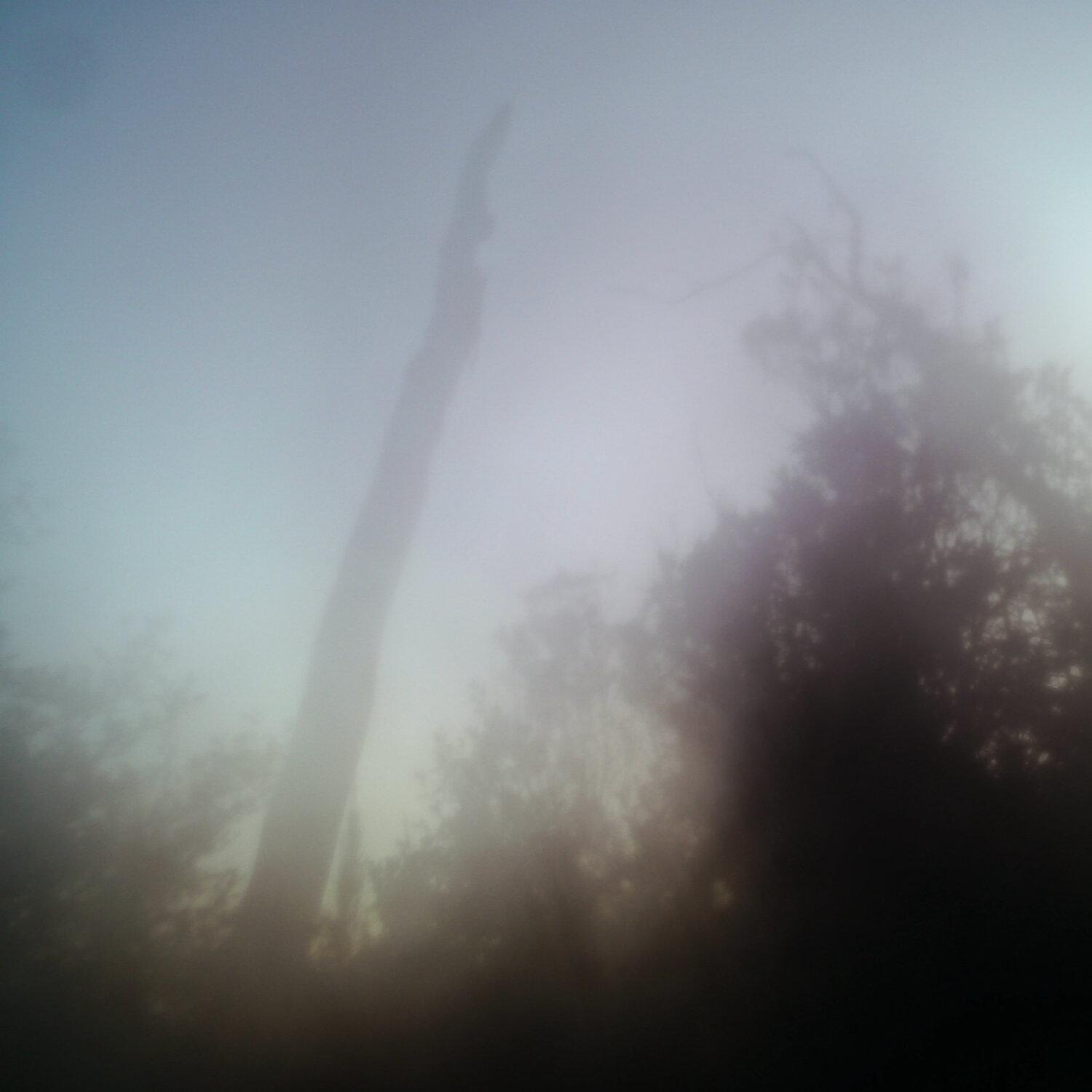 A photo captured from the webcam at the time the audio was recorded