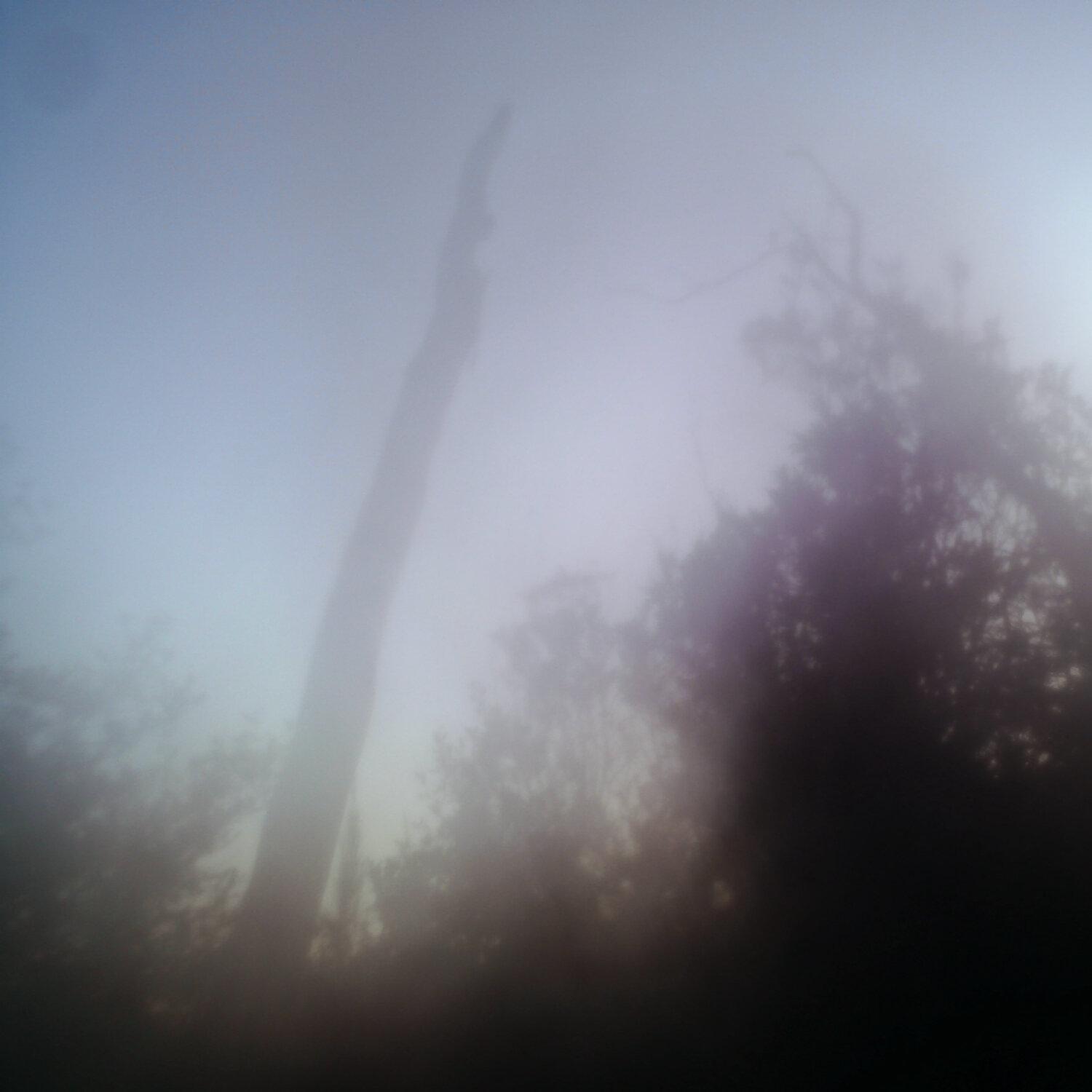 A photo captured from the webcam at the time the audio was recorded