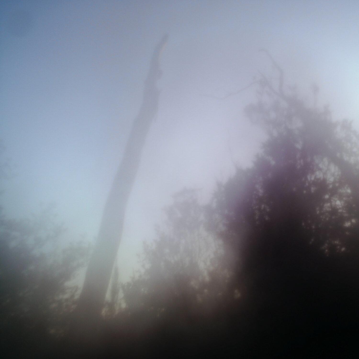 A photo captured from the webcam at the time the audio was recorded