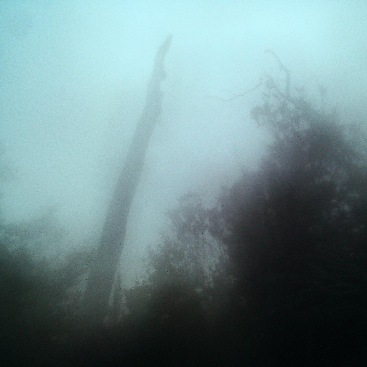 A photo captured from the webcam at the time the audio was recorded
