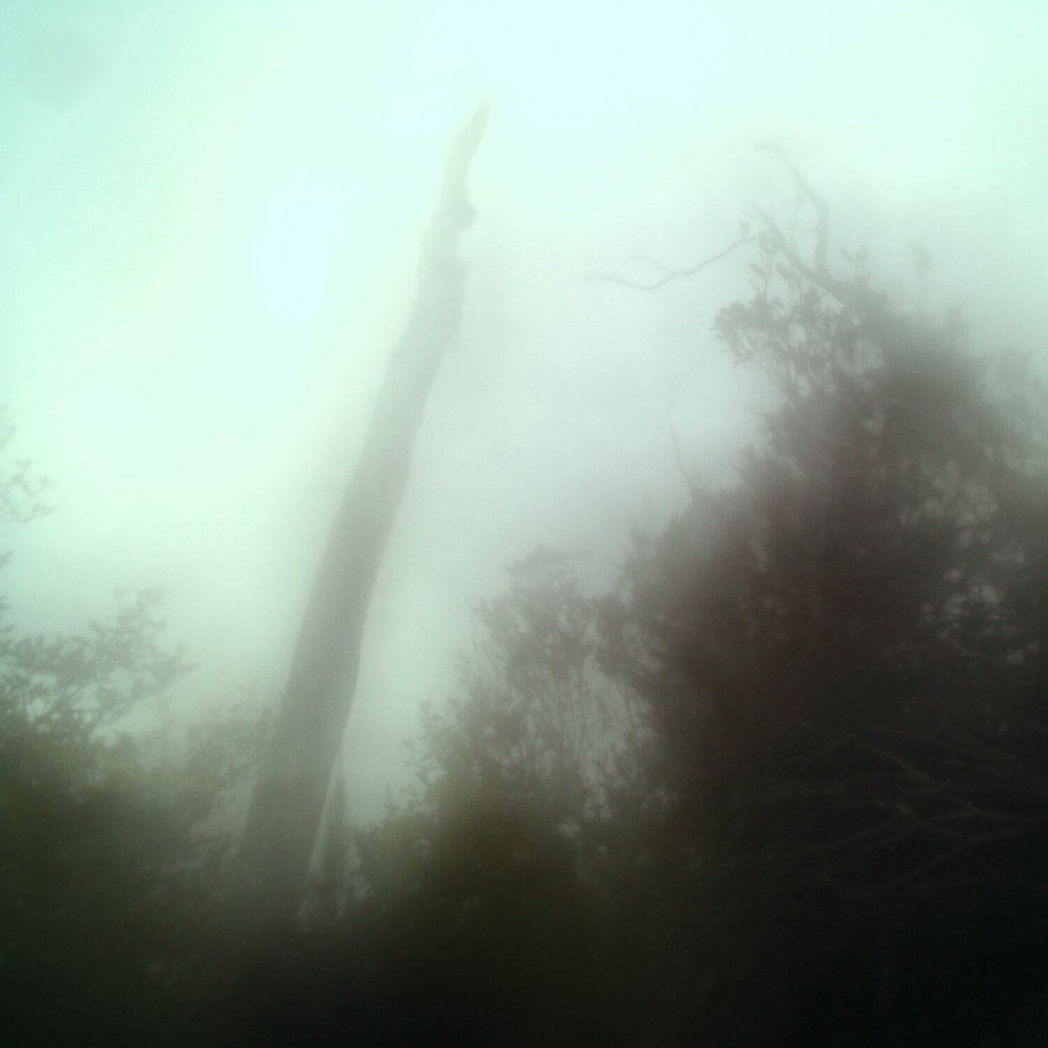 A photo captured from the webcam at the time the audio was recorded