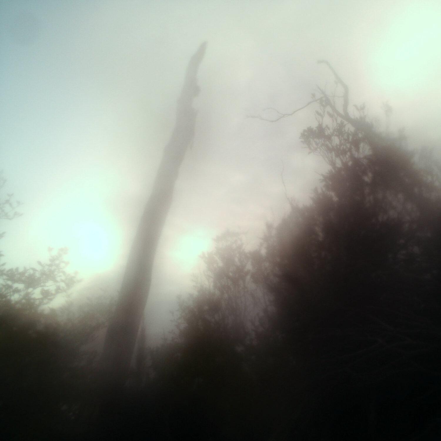 A photo captured from the webcam at the time the audio was recorded