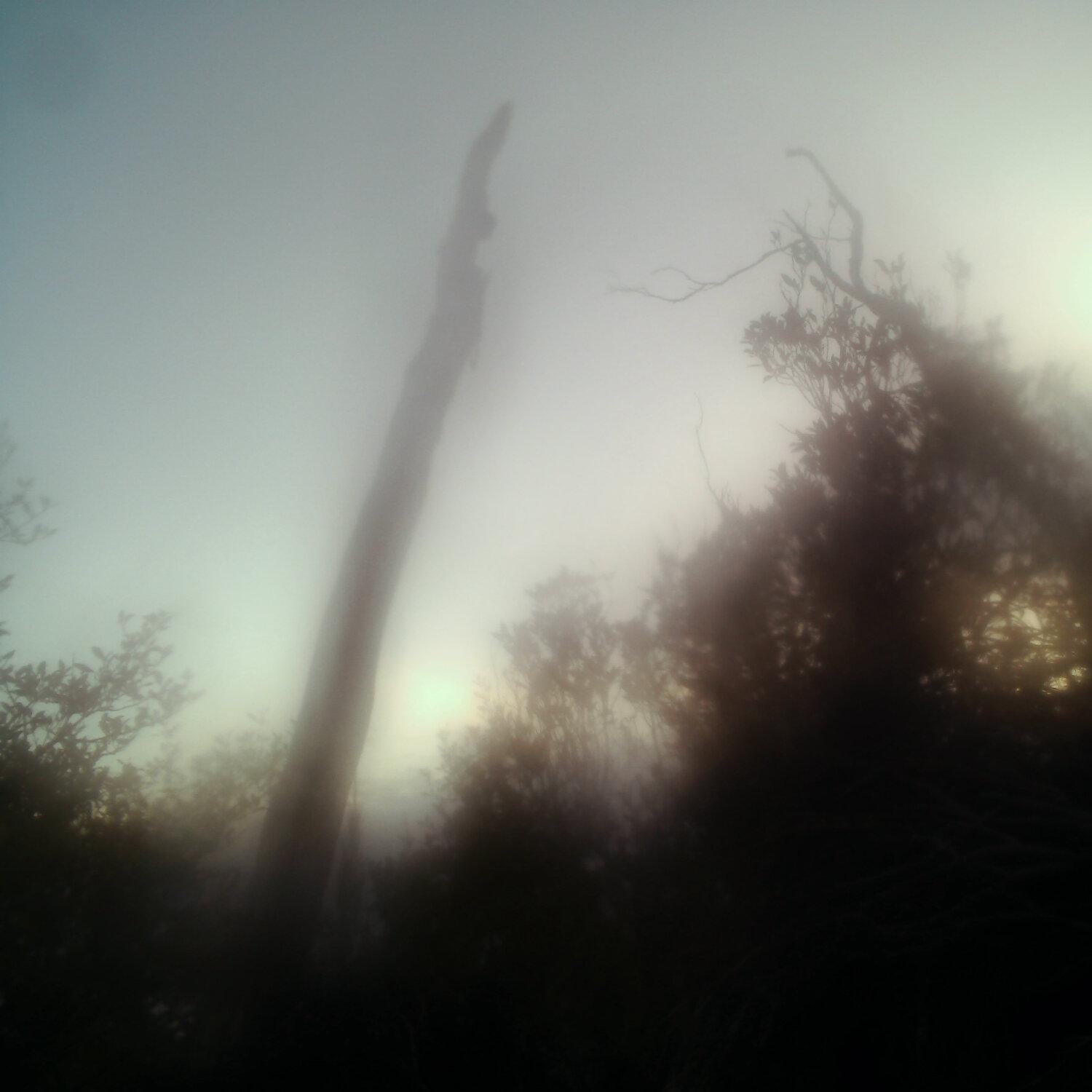 A photo captured from the webcam at the time the audio was recorded