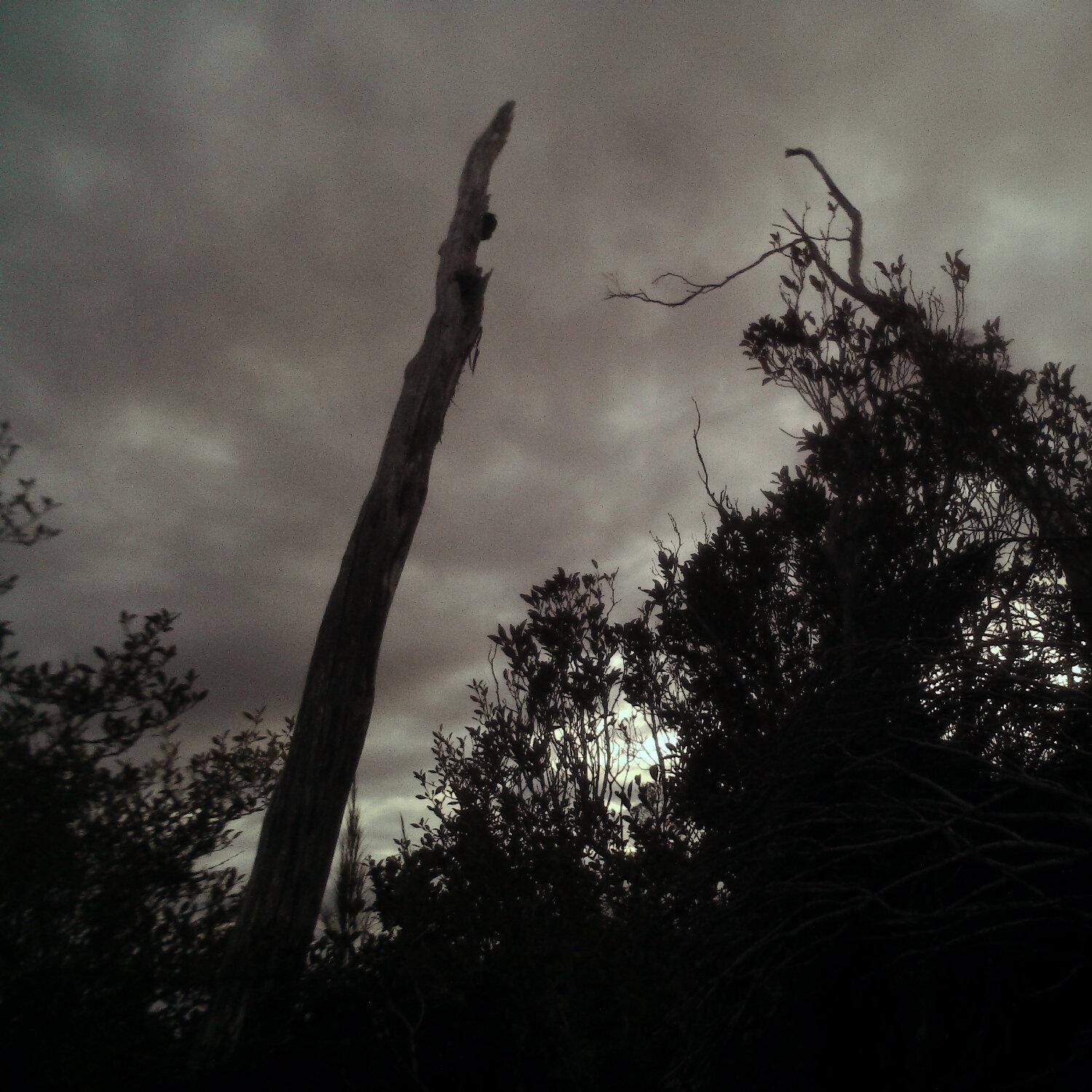 A photo captured from the webcam at the time the audio was recorded