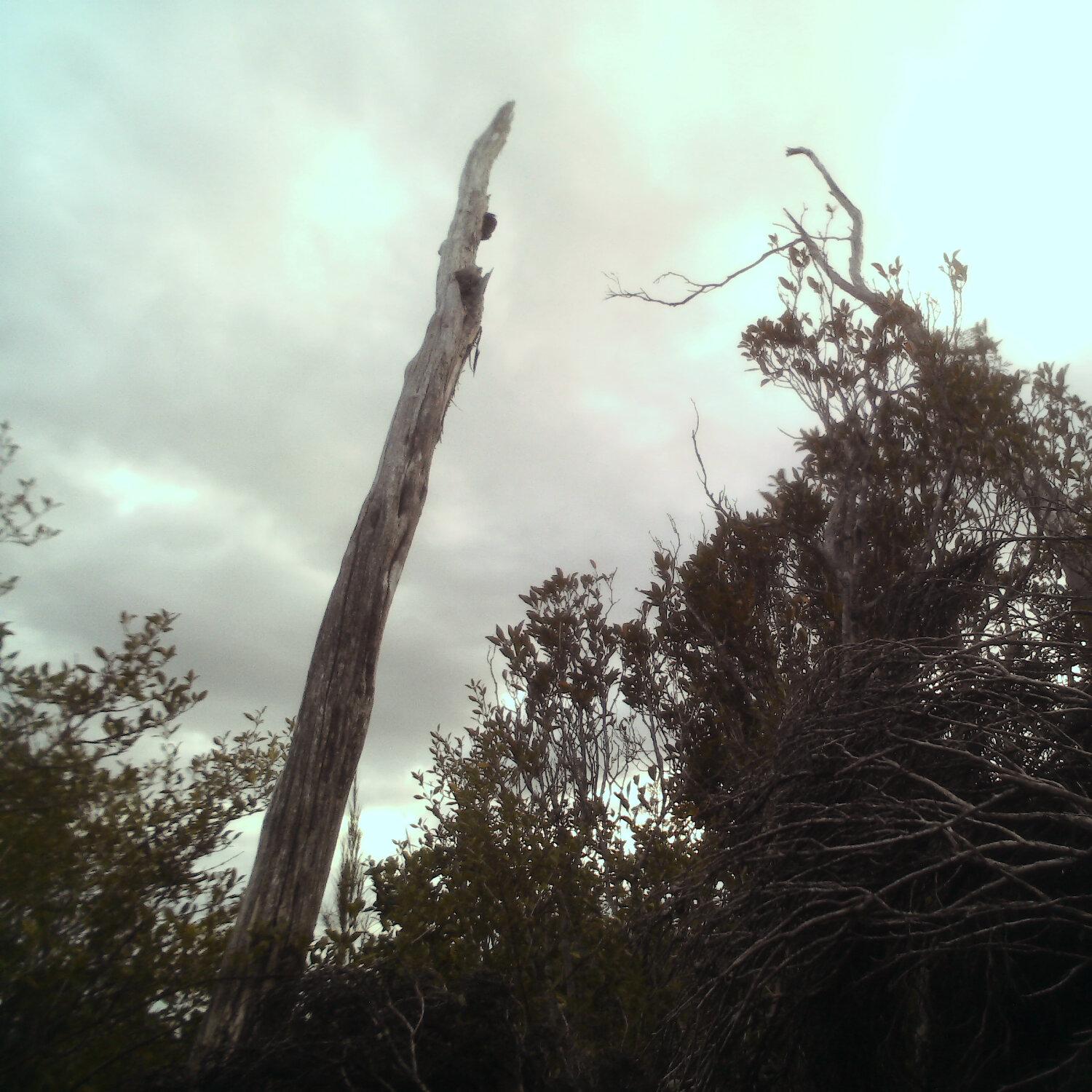 A photo captured from the webcam at the time the audio was recorded