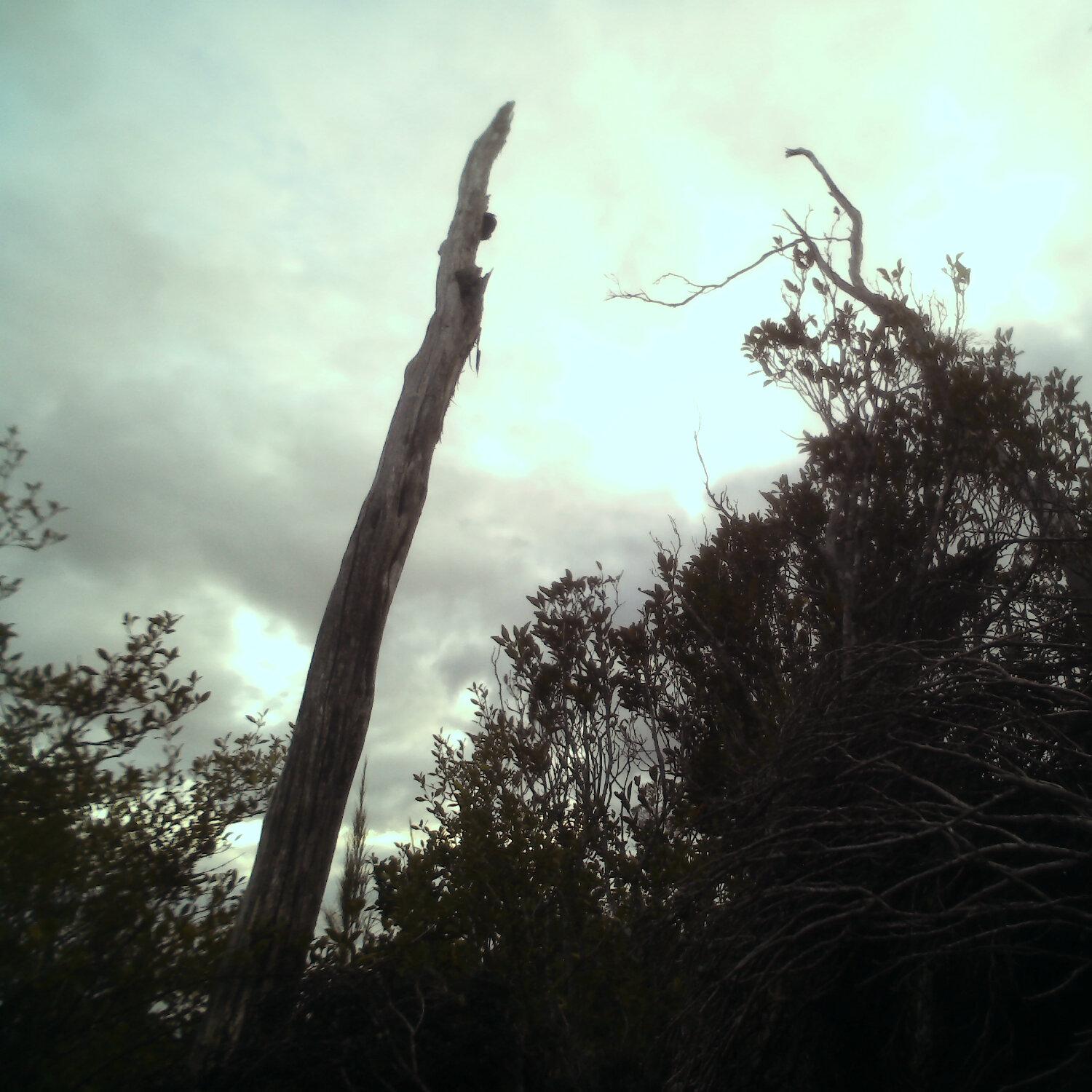A photo captured from the webcam at the time the audio was recorded