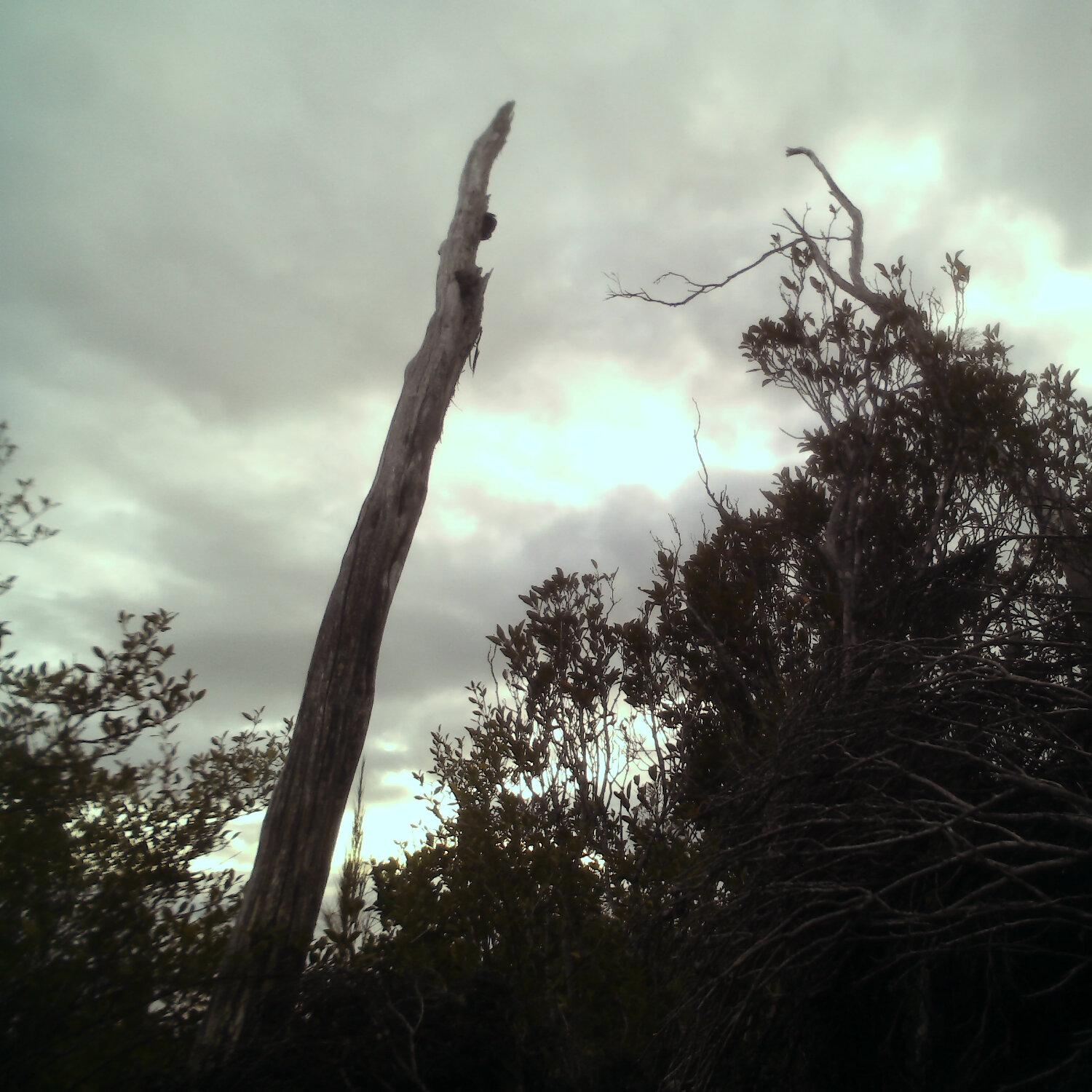A photo captured from the webcam at the time the audio was recorded