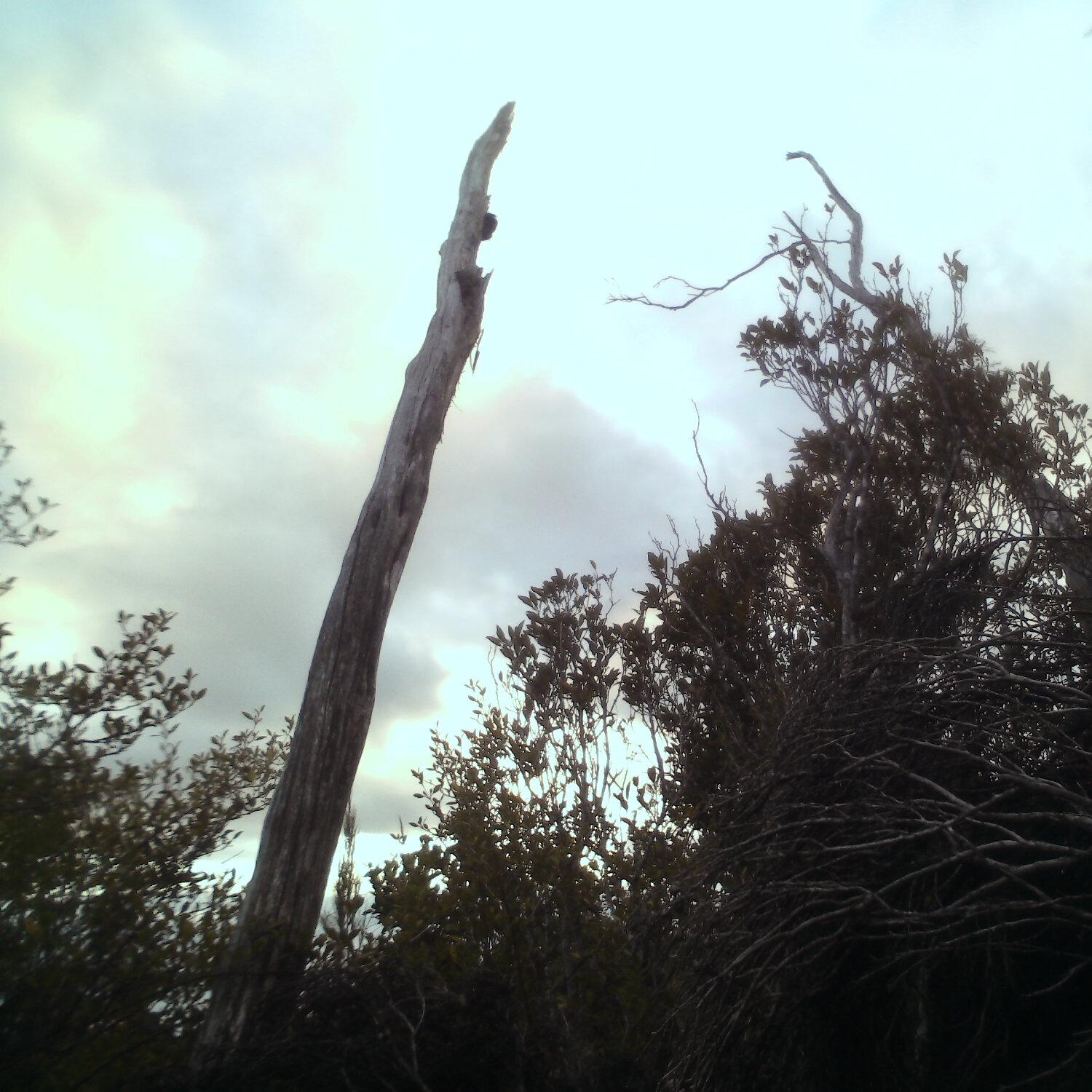 A photo captured from the webcam at the time the audio was recorded