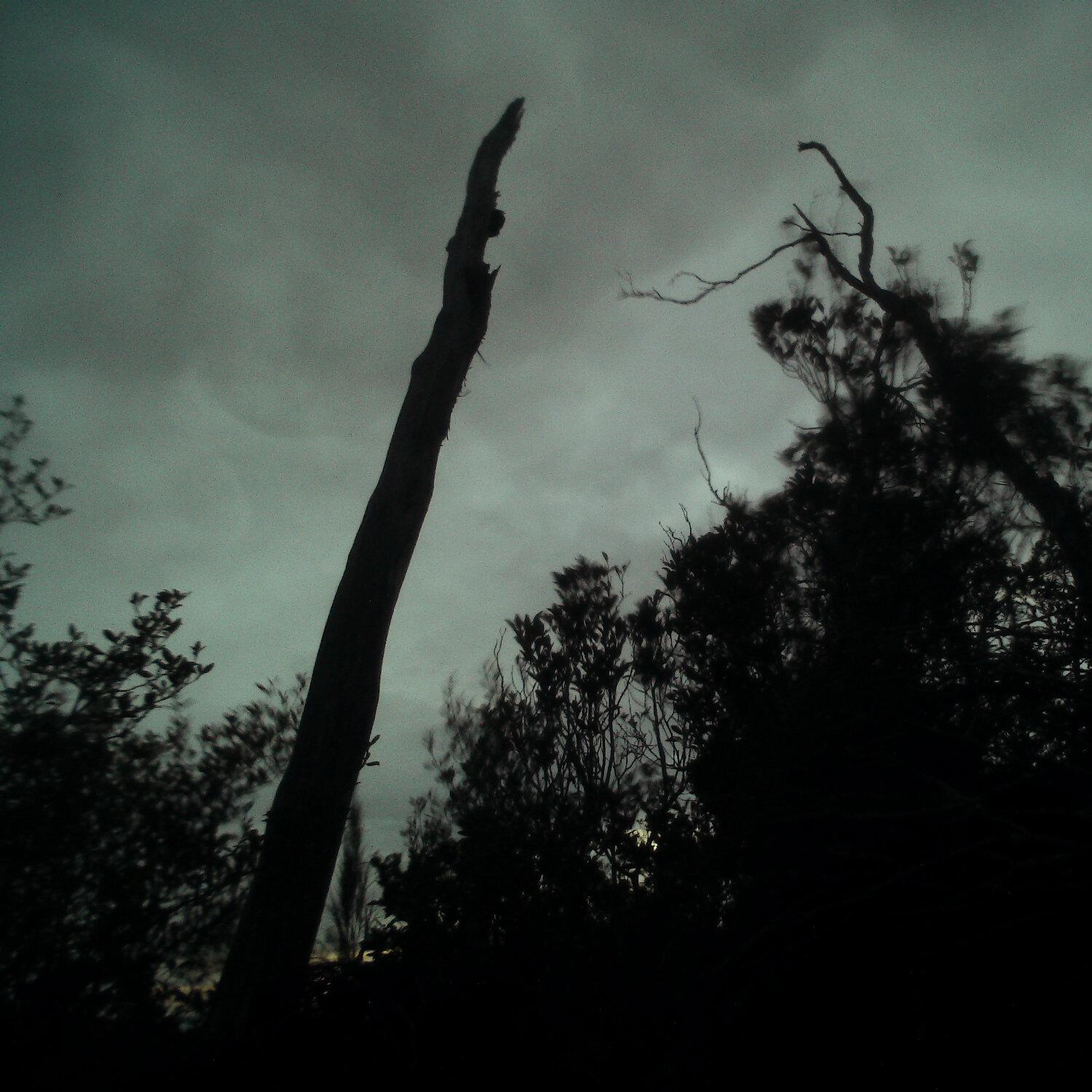 A photo captured from the webcam at the time the audio was recorded