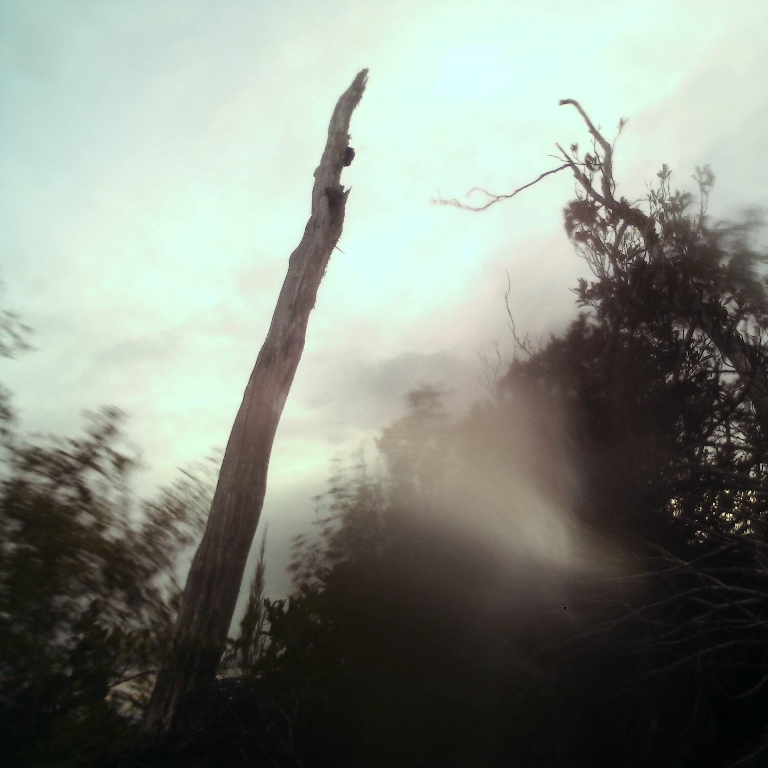A photo captured from the webcam at the time the audio was recorded