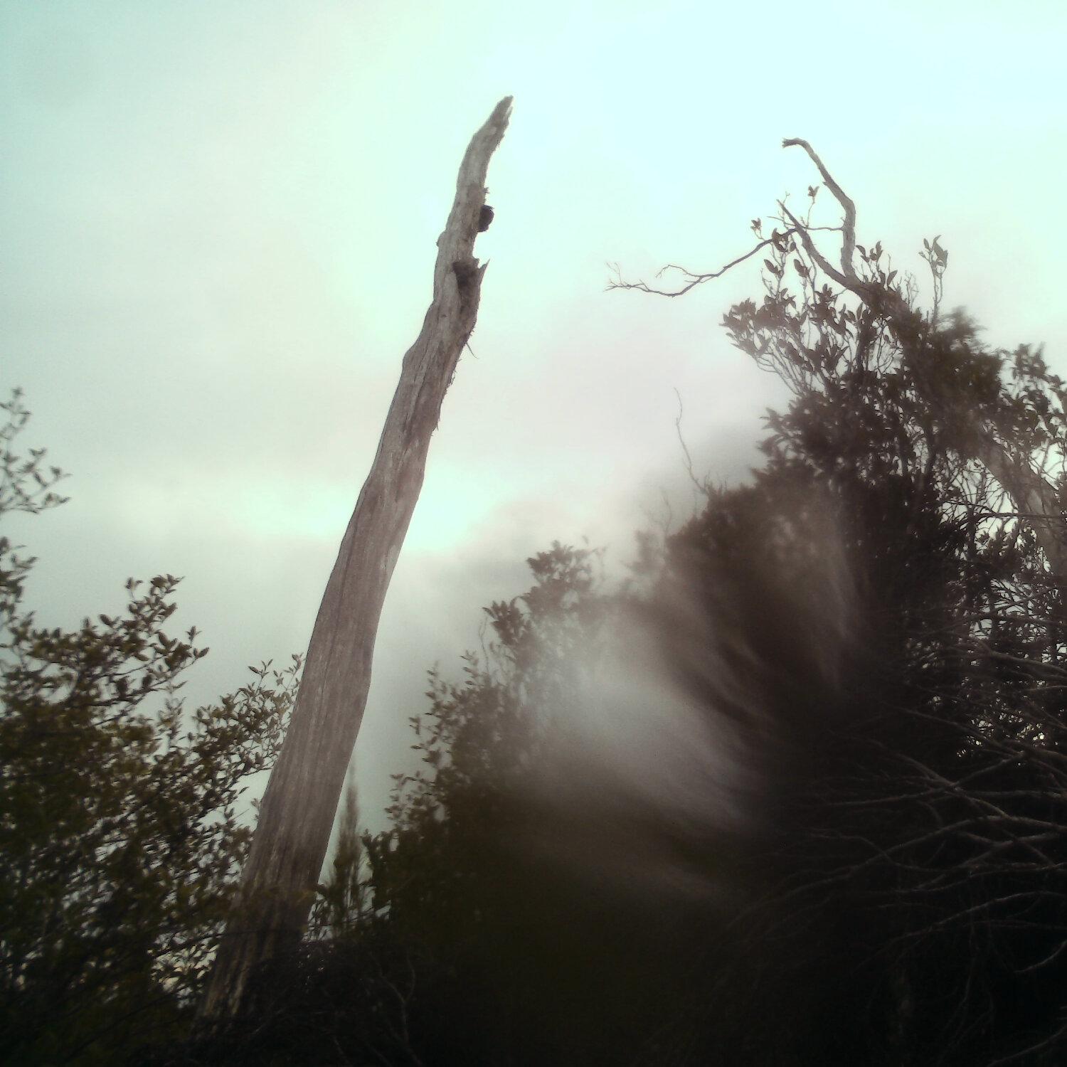 A photo captured from the webcam at the time the audio was recorded