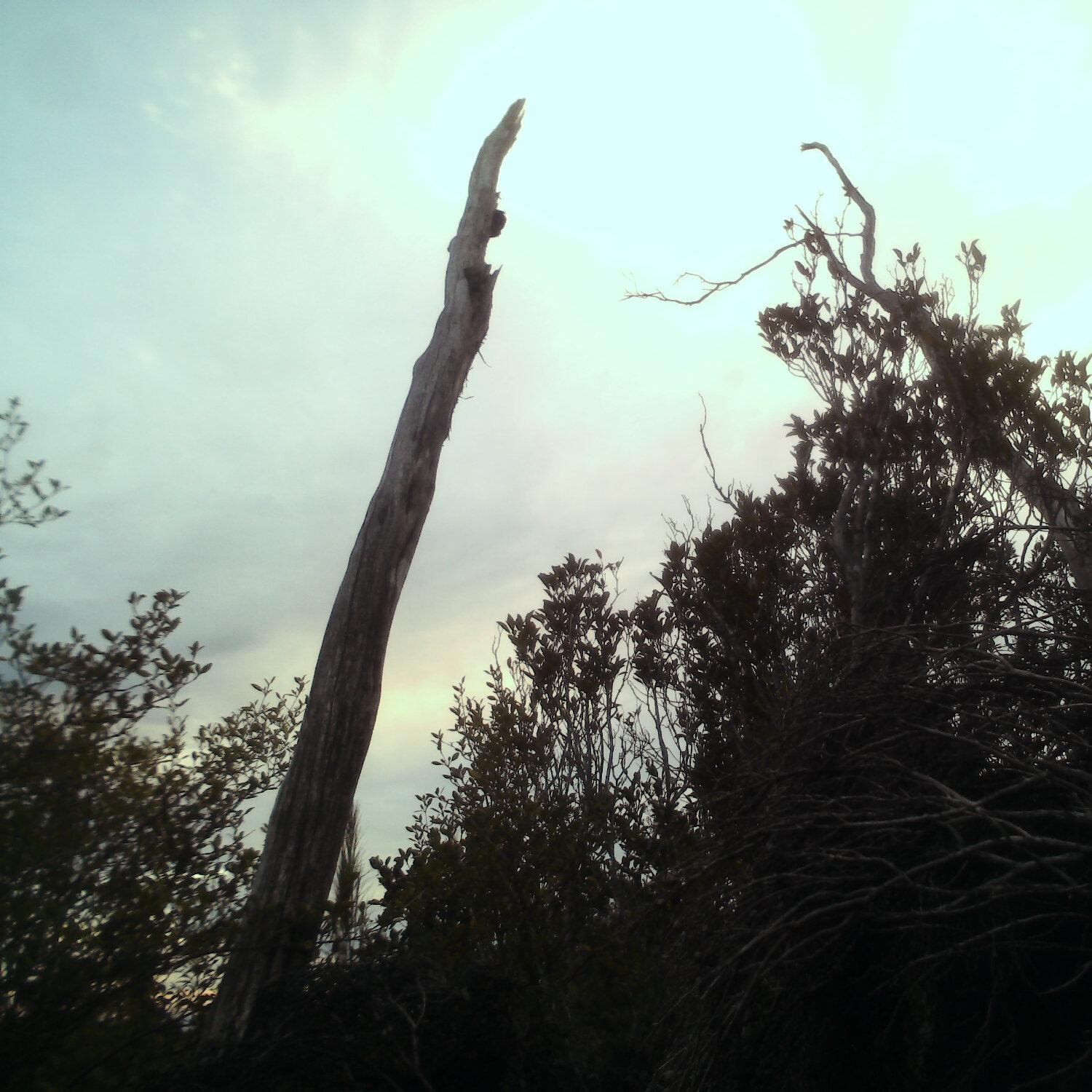 A photo captured from the webcam at the time the audio was recorded