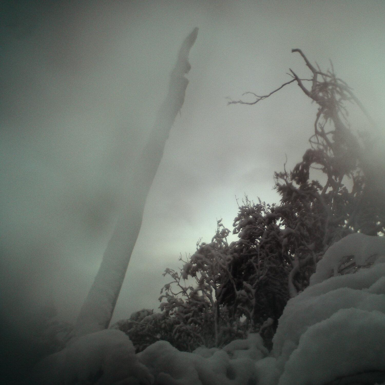 A photo captured from the webcam at the time the audio was recorded