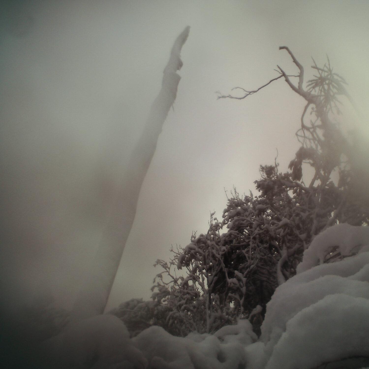 A photo captured from the webcam at the time the audio was recorded