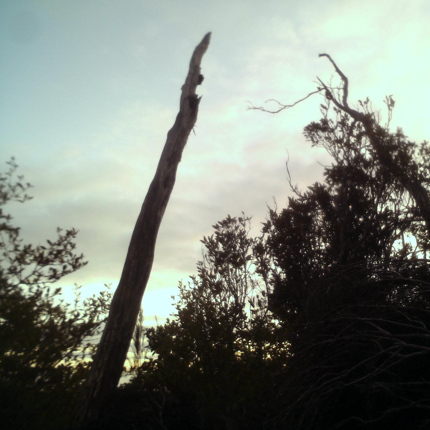 A photo captured from the webcam at the time the audio was recorded