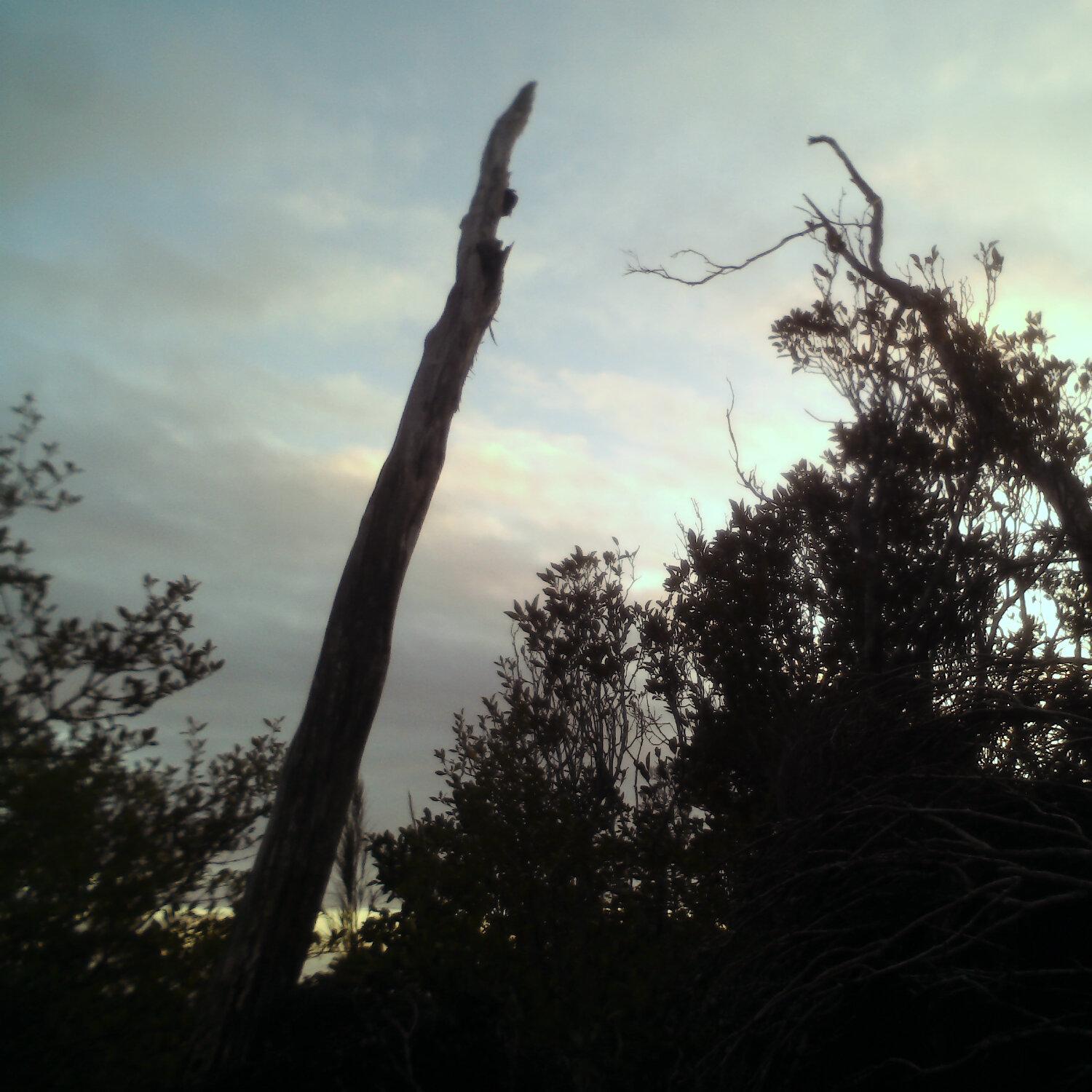 A photo captured from the webcam at the time the audio was recorded