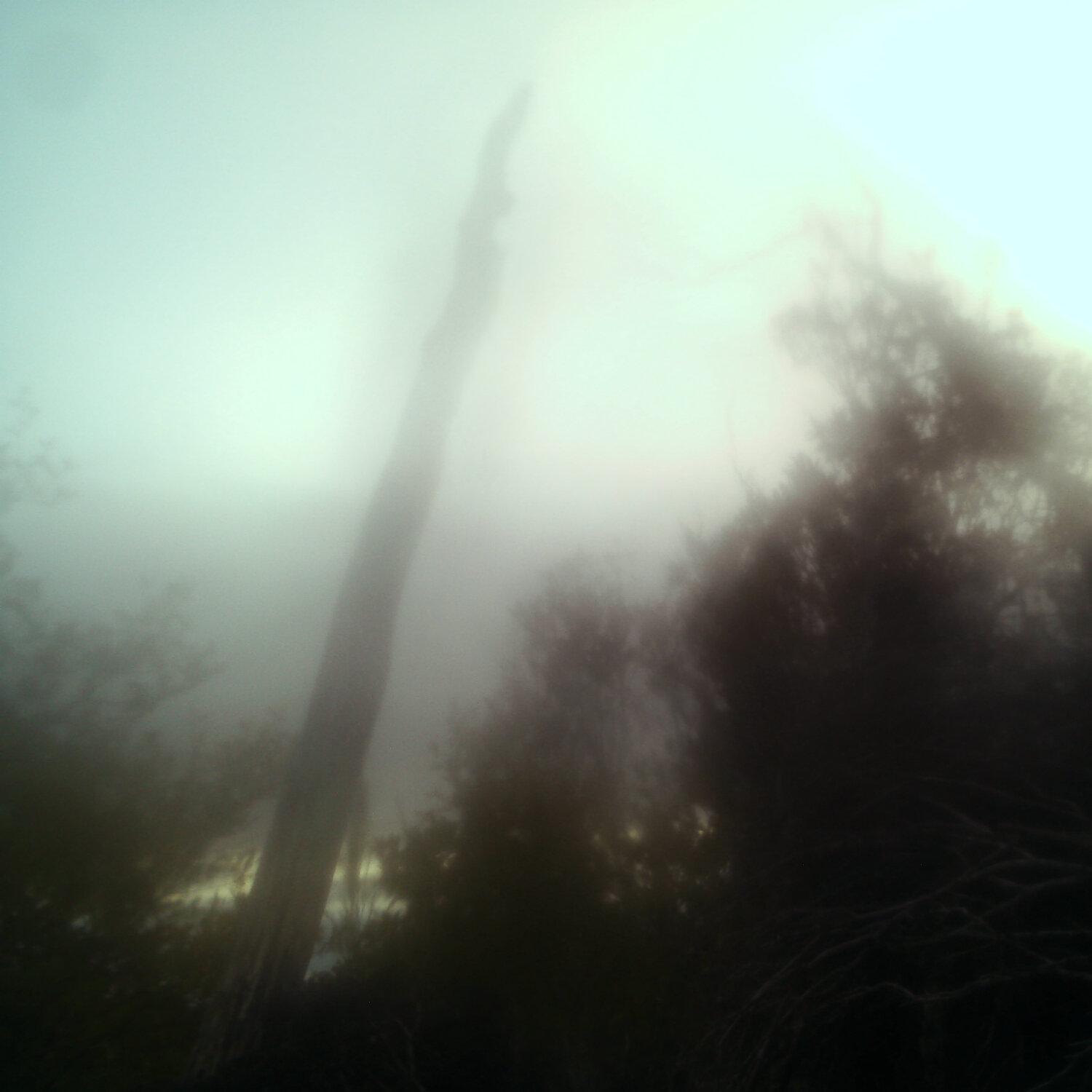 A photo captured from the webcam at the time the audio was recorded