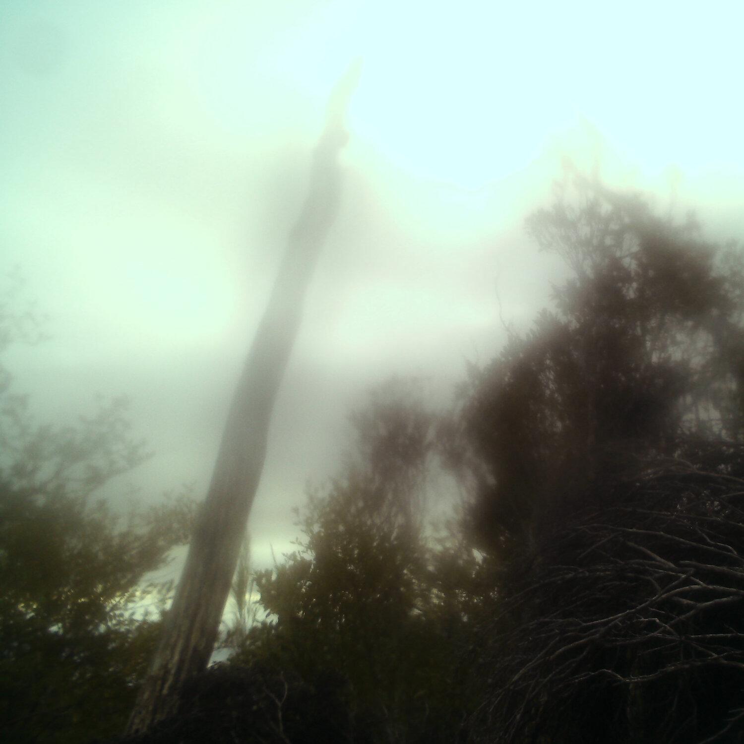A photo captured from the webcam at the time the audio was recorded